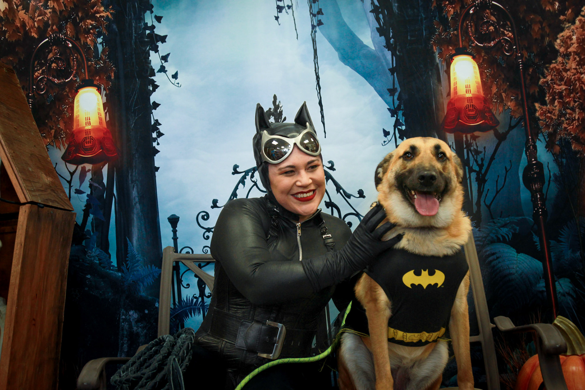 Batman and Cat Girl