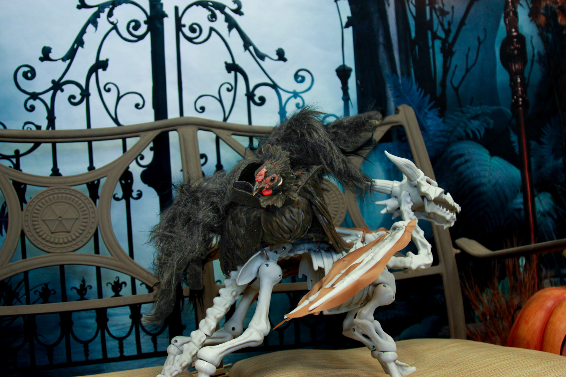 Spider Chicken