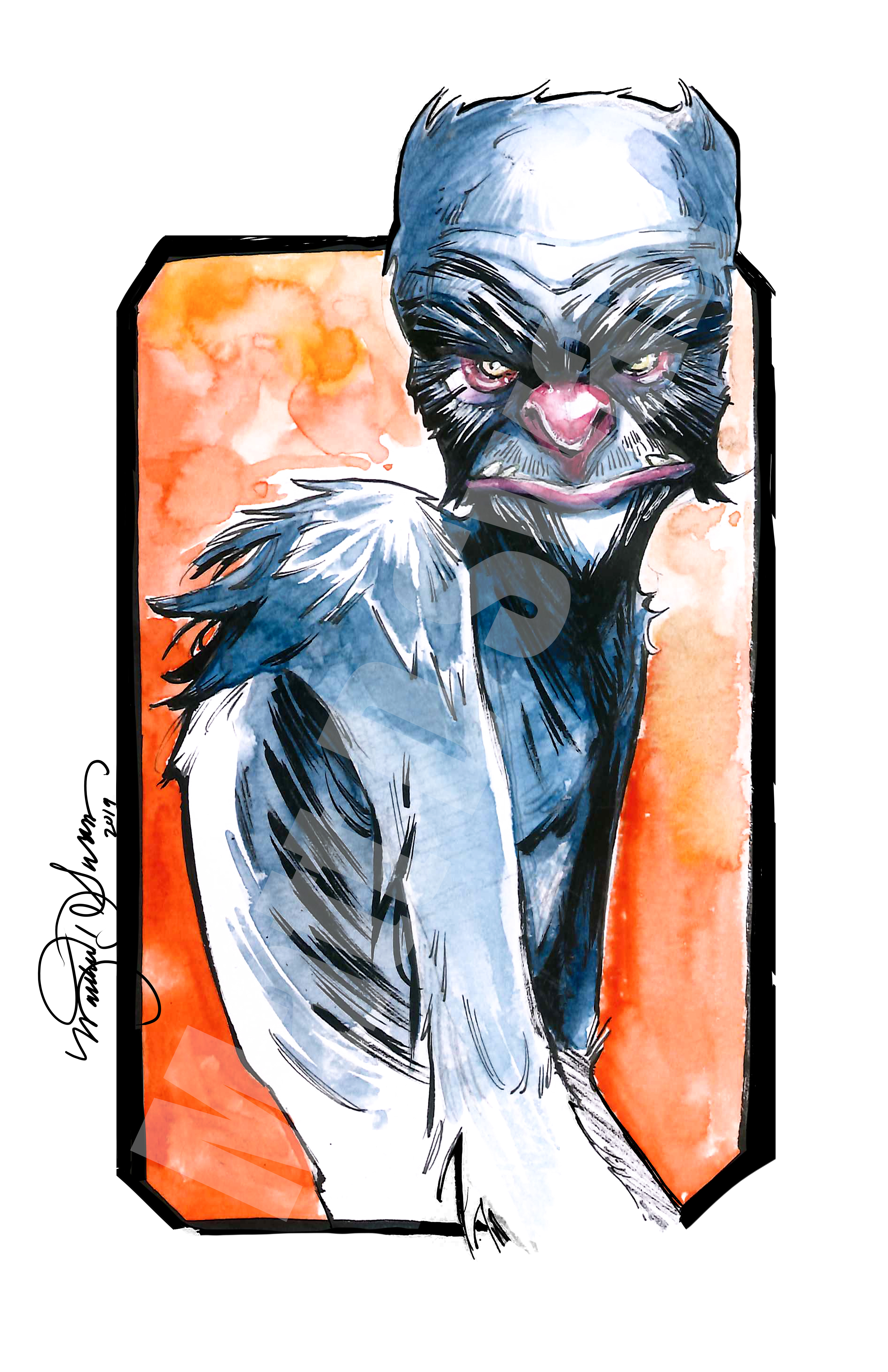 Grover-Ink/Watercolor