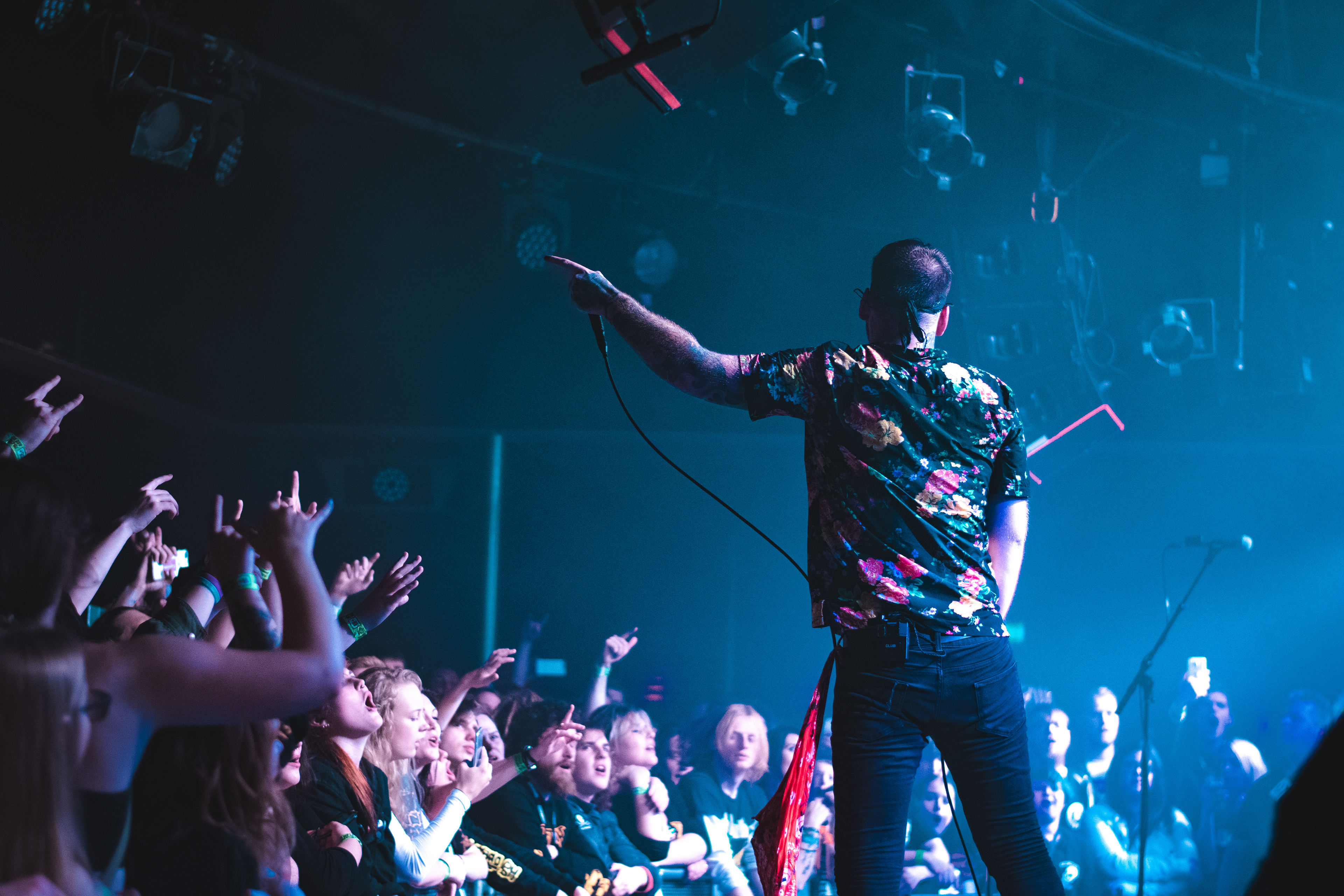 beartooth '19
