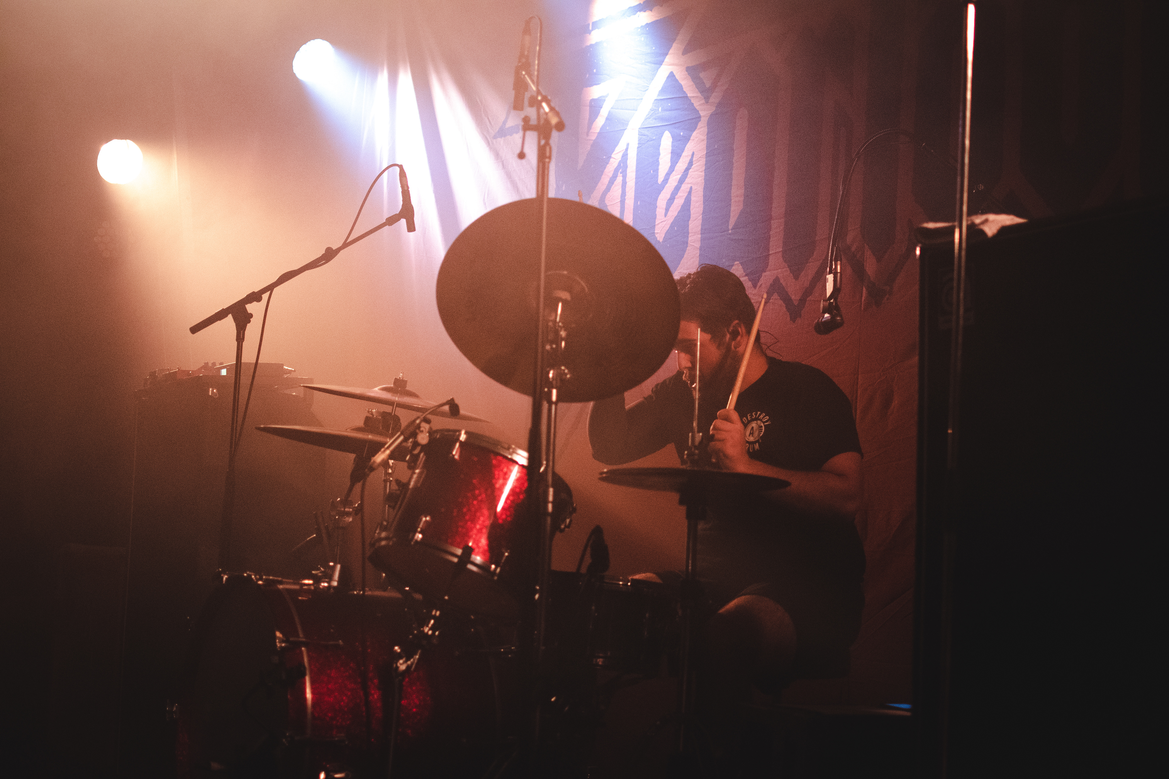 beartooth '19