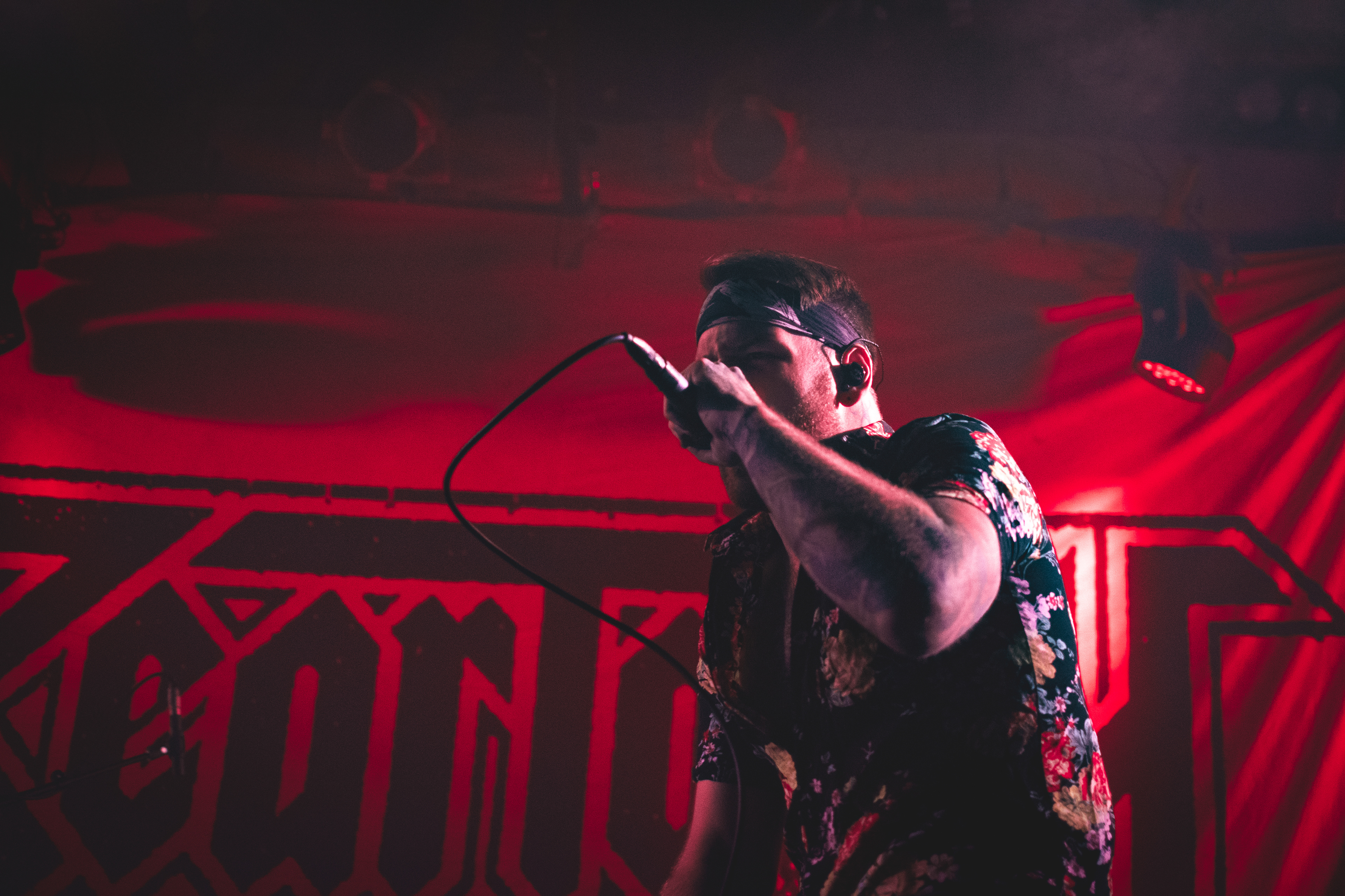 beartooth '19