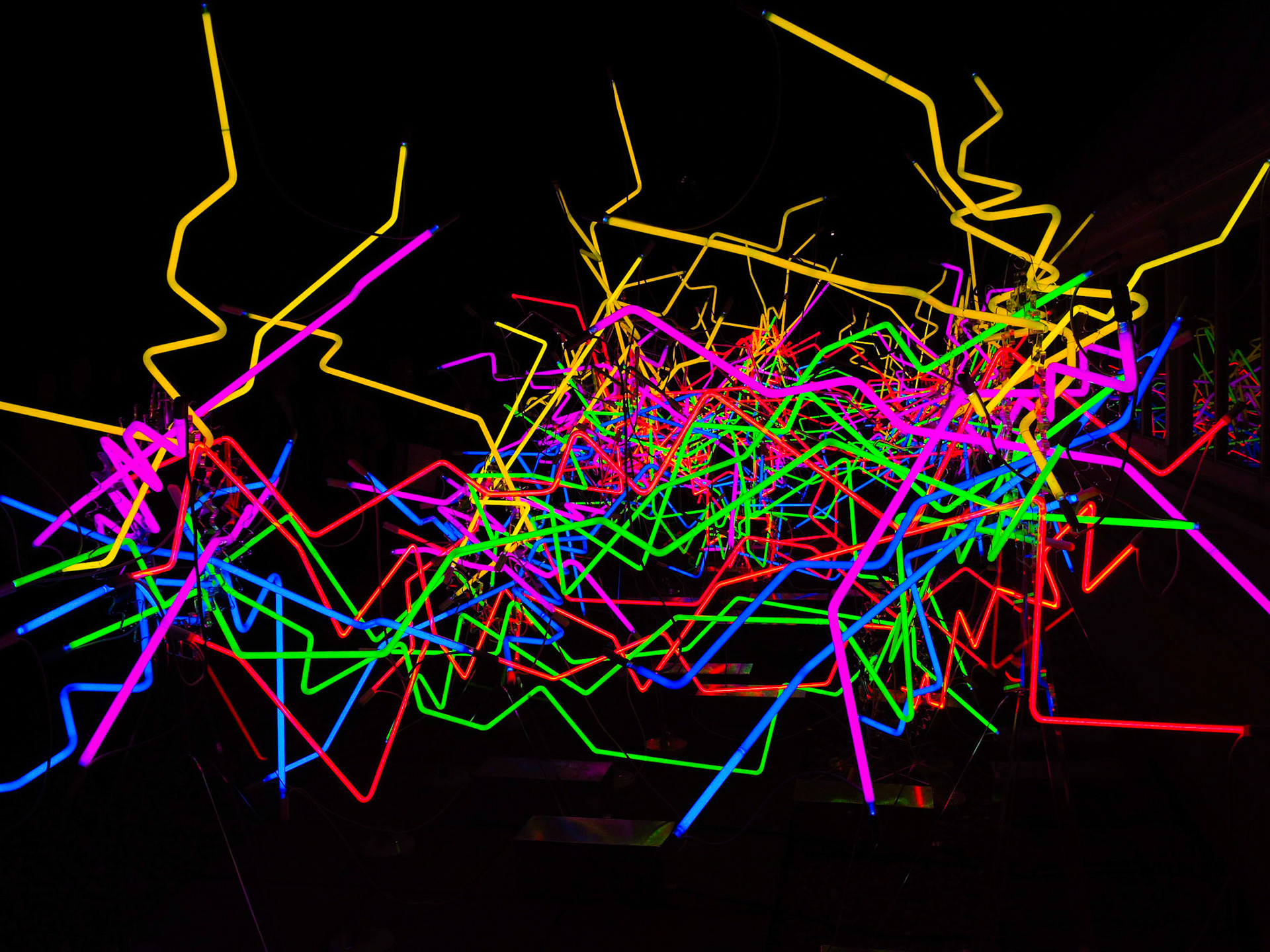 "Neon 206" by Chihuly - NY Botanical Garden