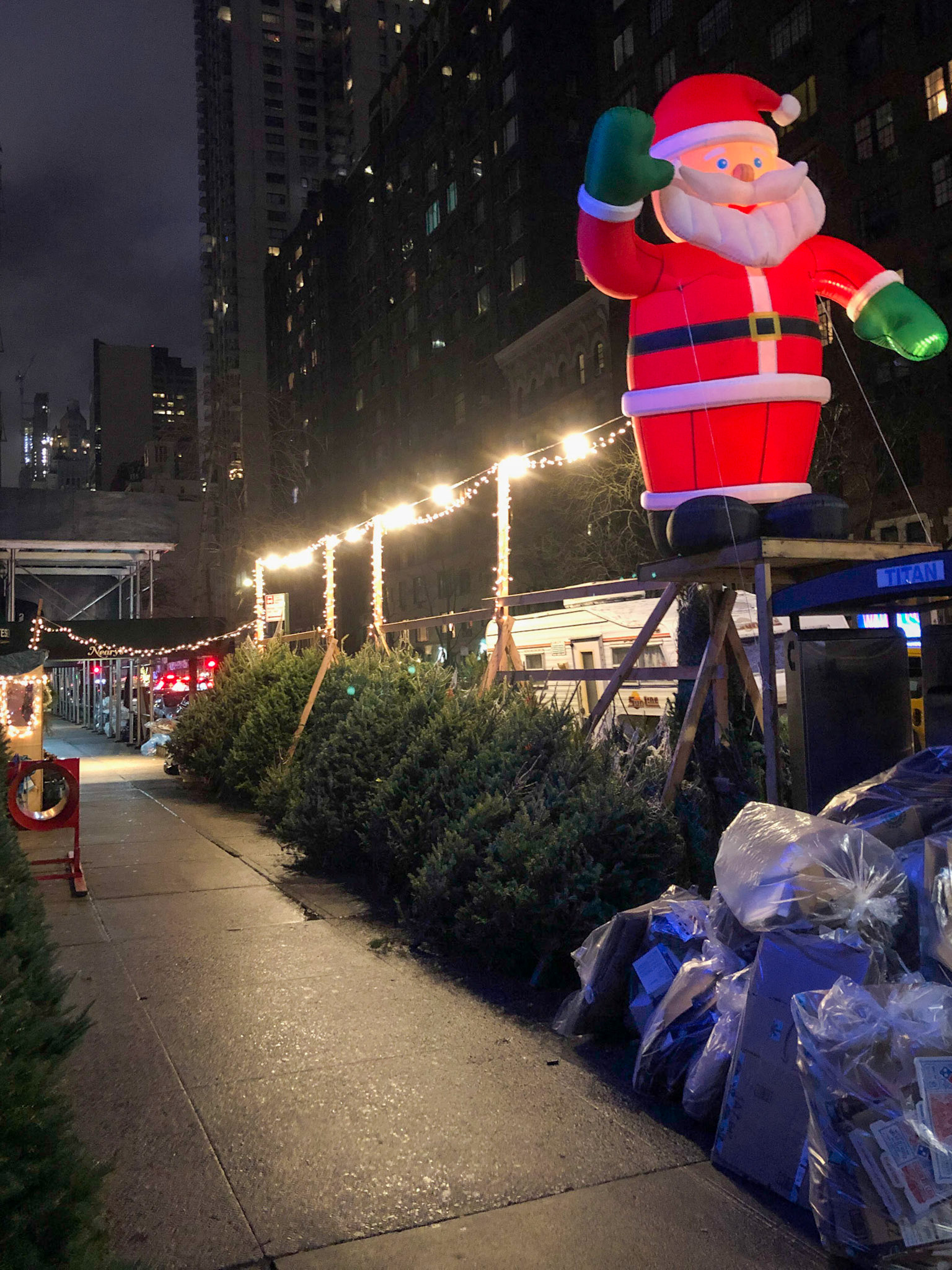 Christmas Tree Seller
