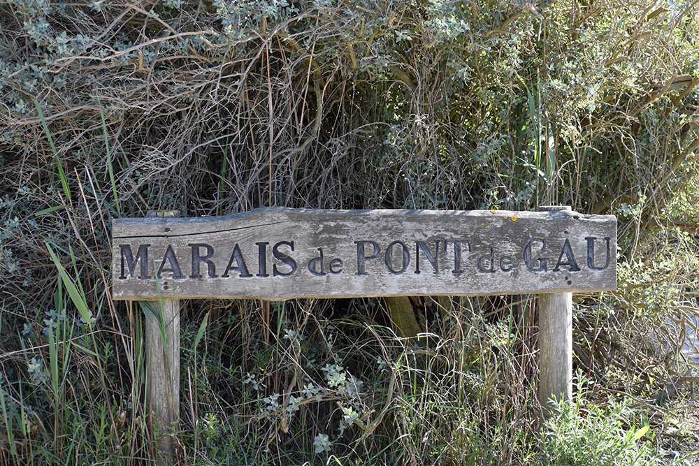 Marais de Pont du Gau