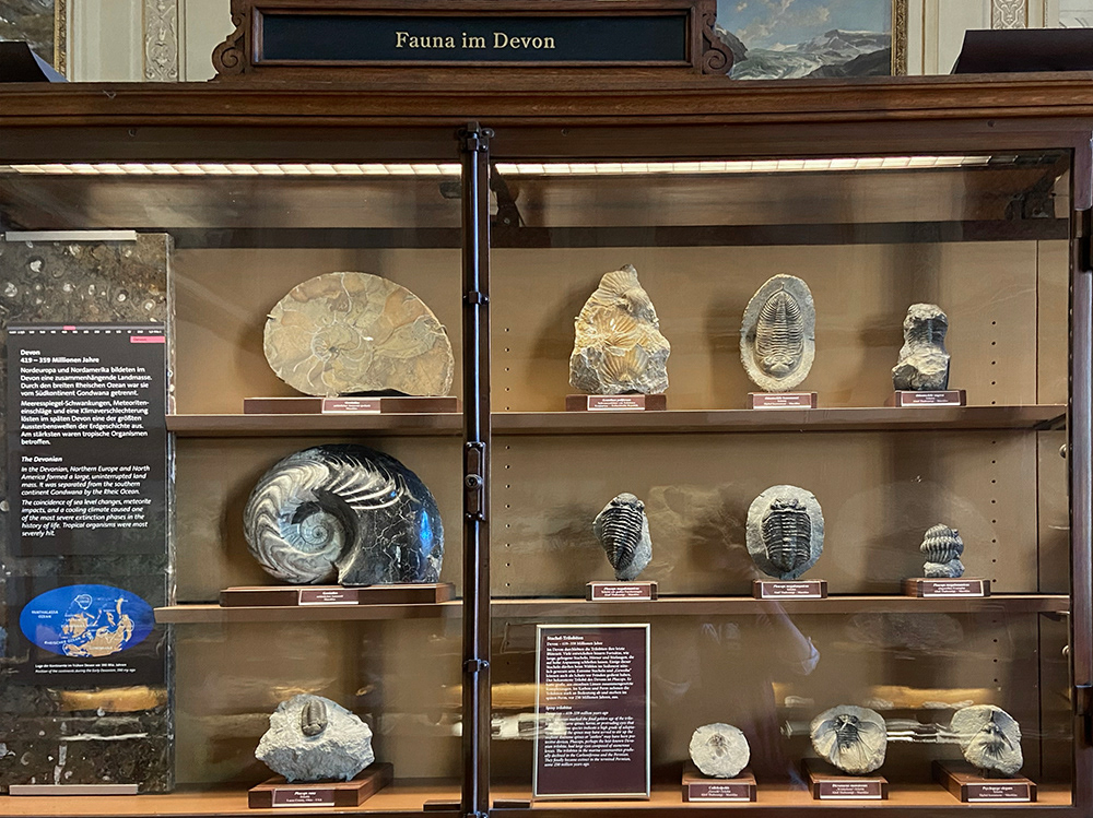 National History Museum / Naturhistorisches Museum