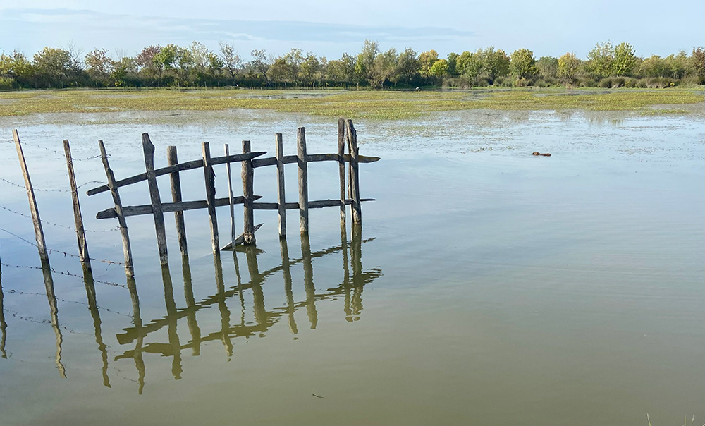 Marais du Vigueirat