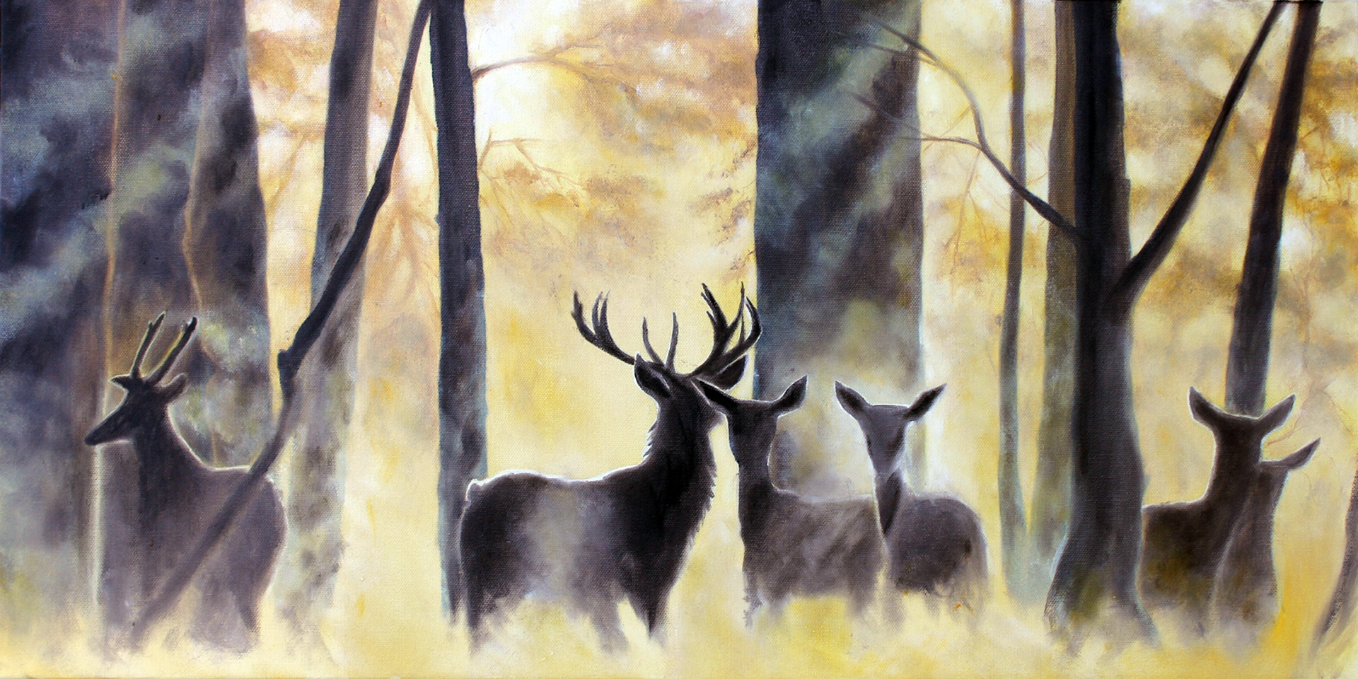 Forest Dwellers