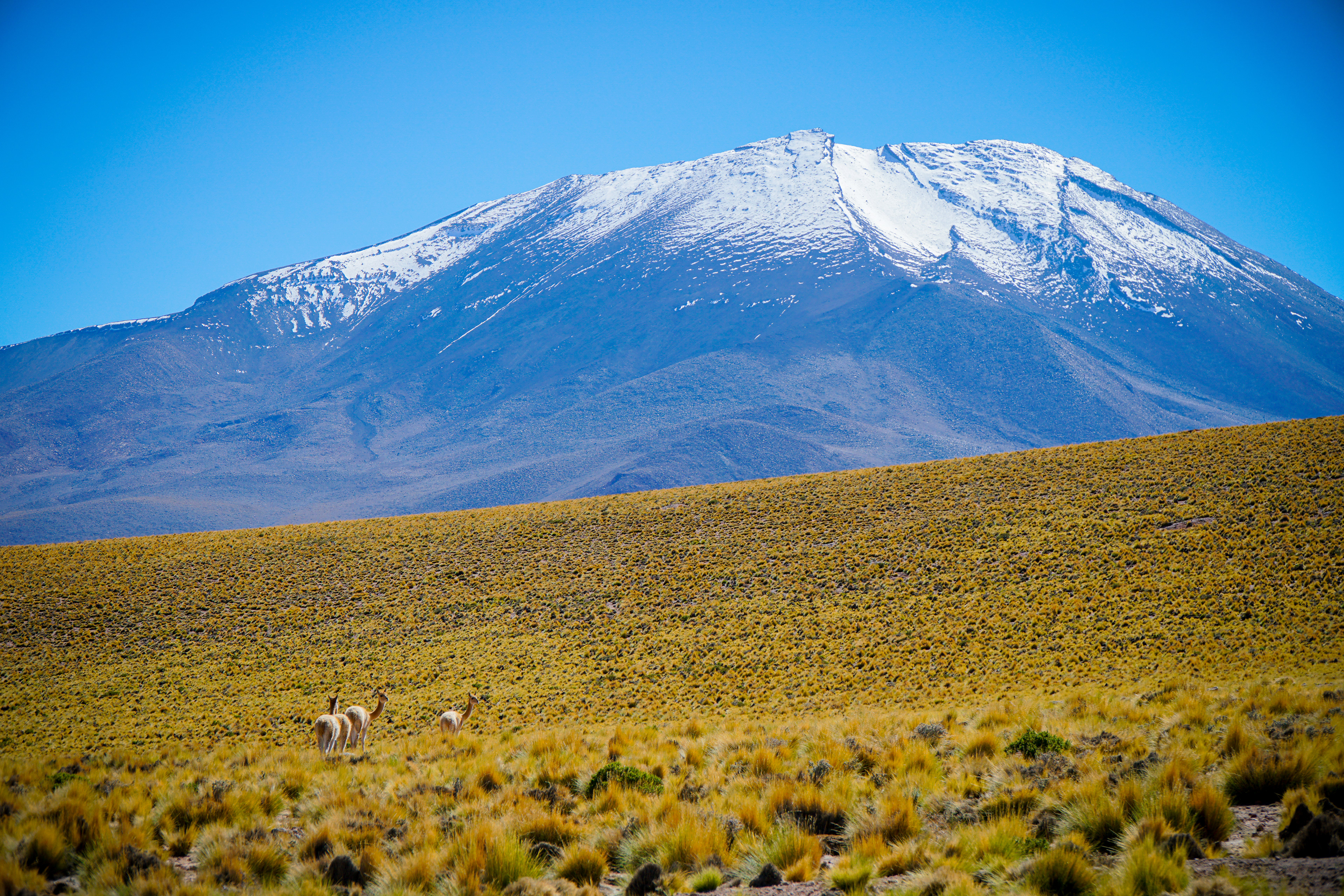 Atacama, Chile