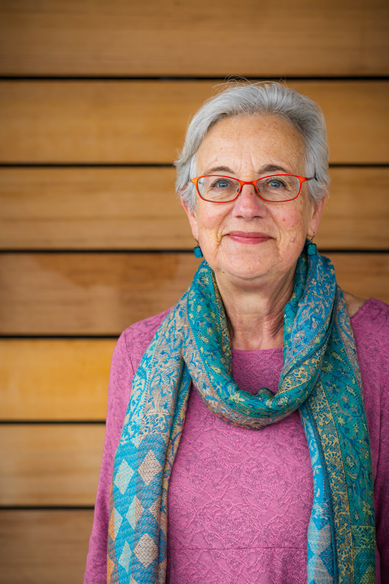 Vermont Democratic Party Chair, Anne Lezak