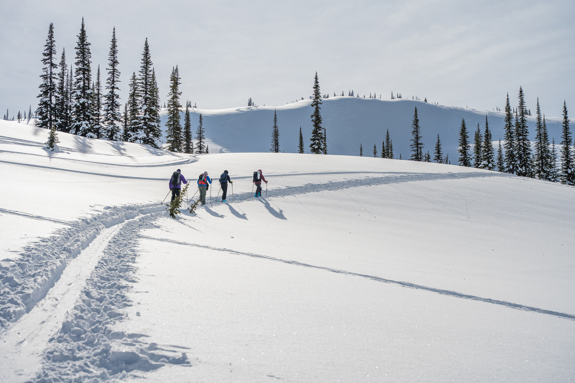Rogers Pass, BC