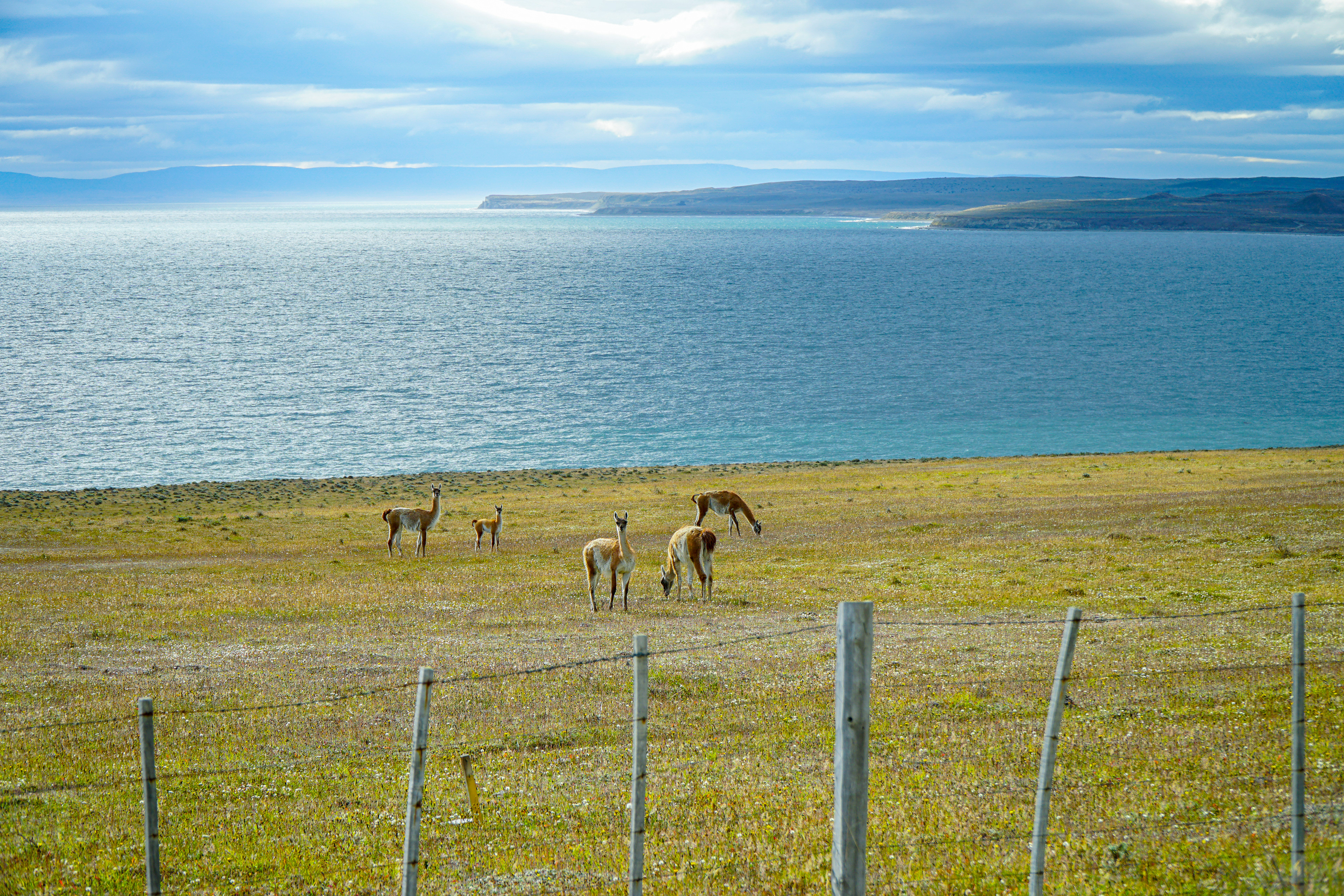 Tierra del Fuego, Argentina