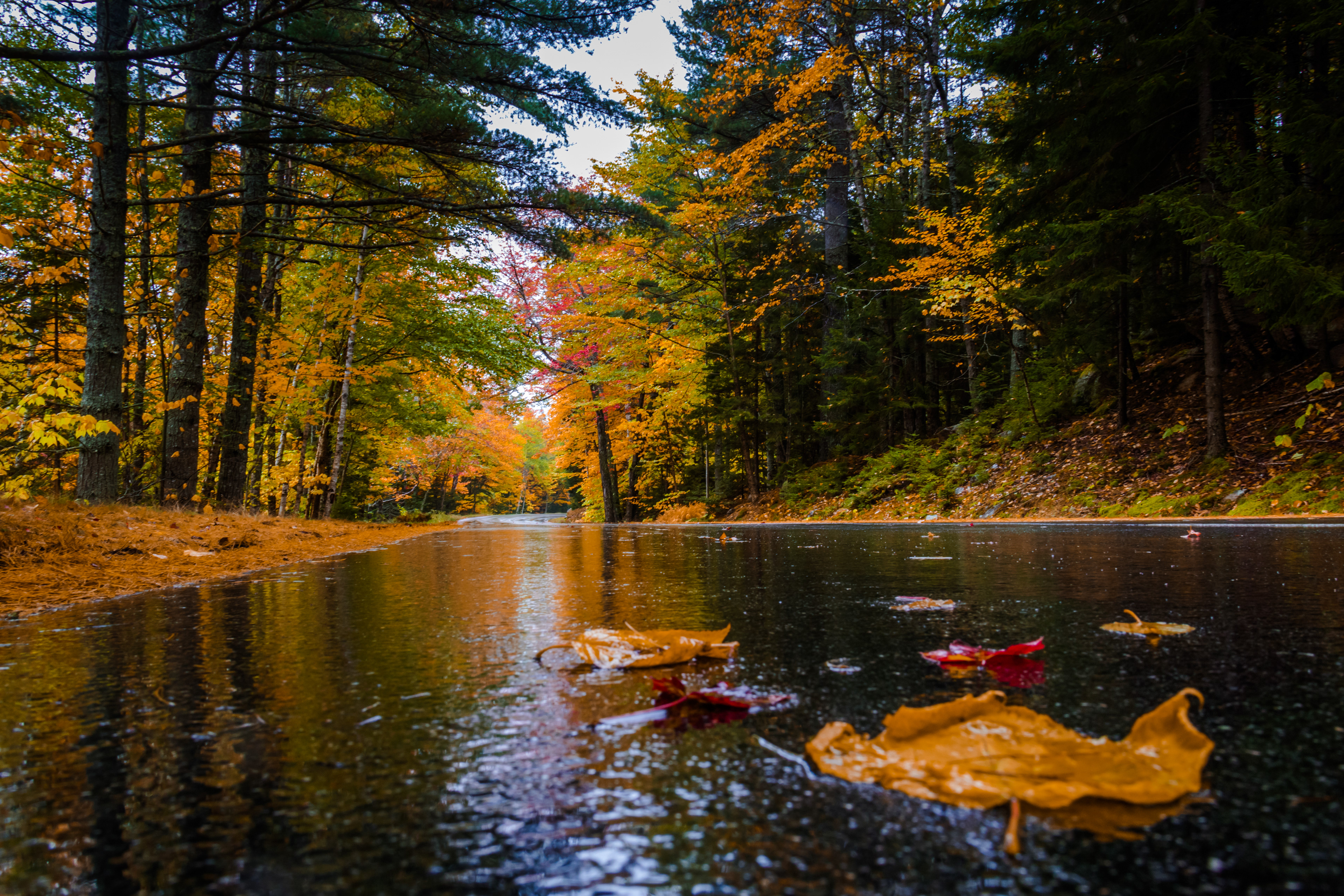 acadia national park, bar harbor ME