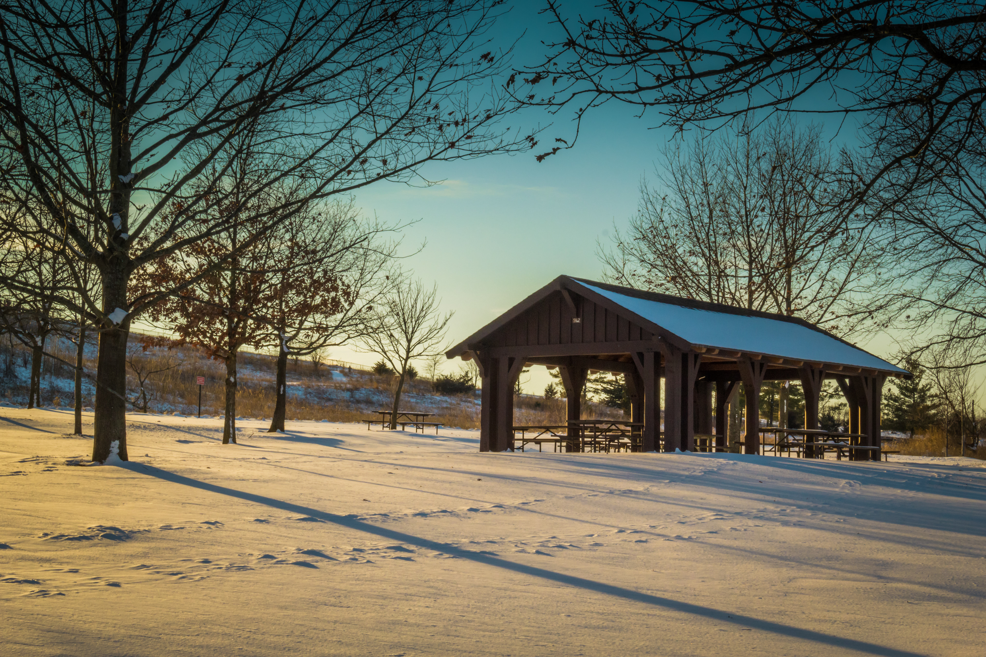Blackwell Forest Preserve, Warrenville IL
