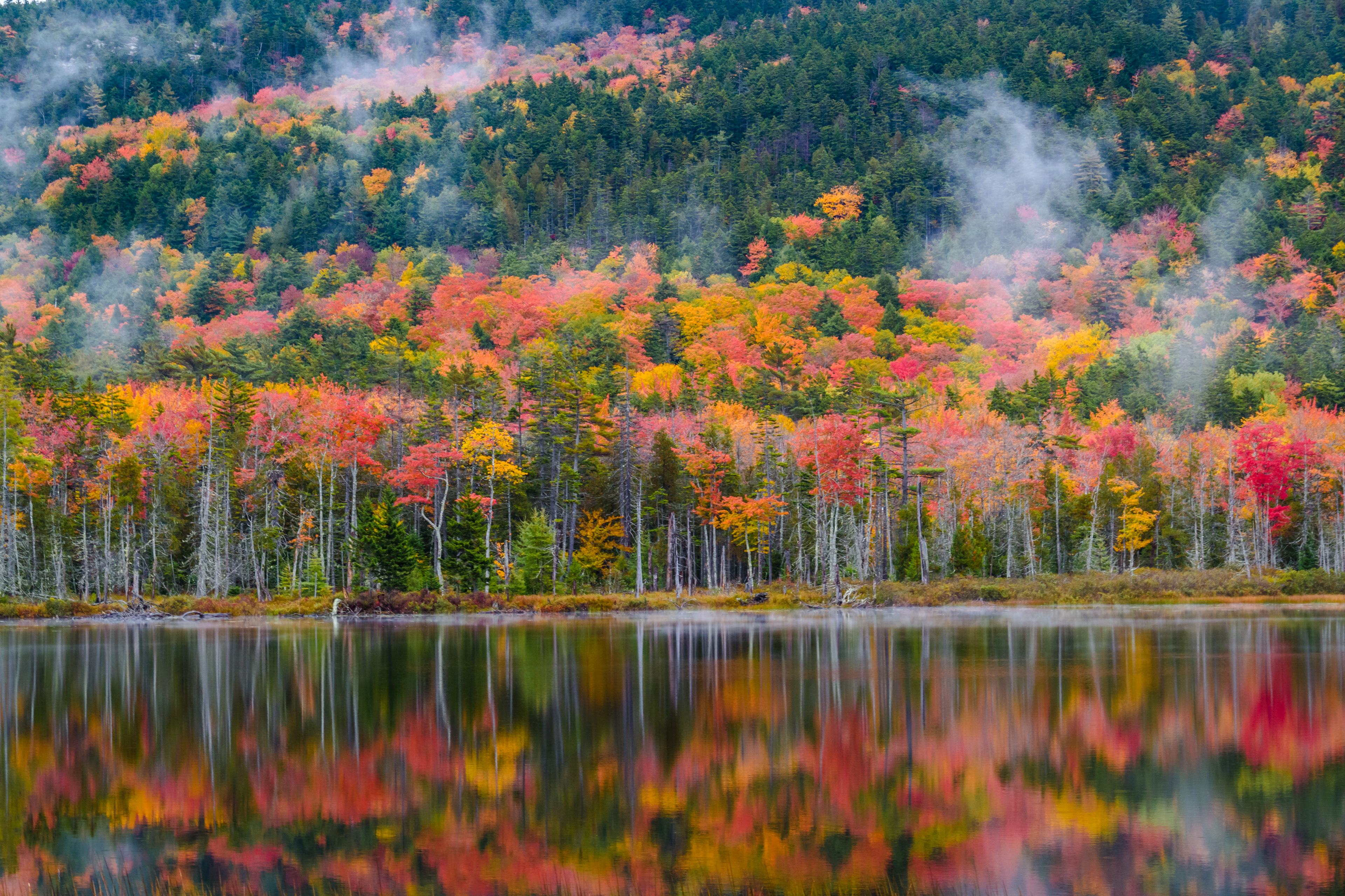 acadia national park, bar harbor ME