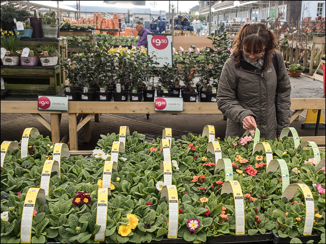 February 23rd | Garden Centre Visit