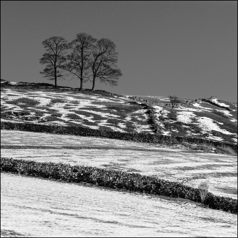 Three Trees, Dovedale.