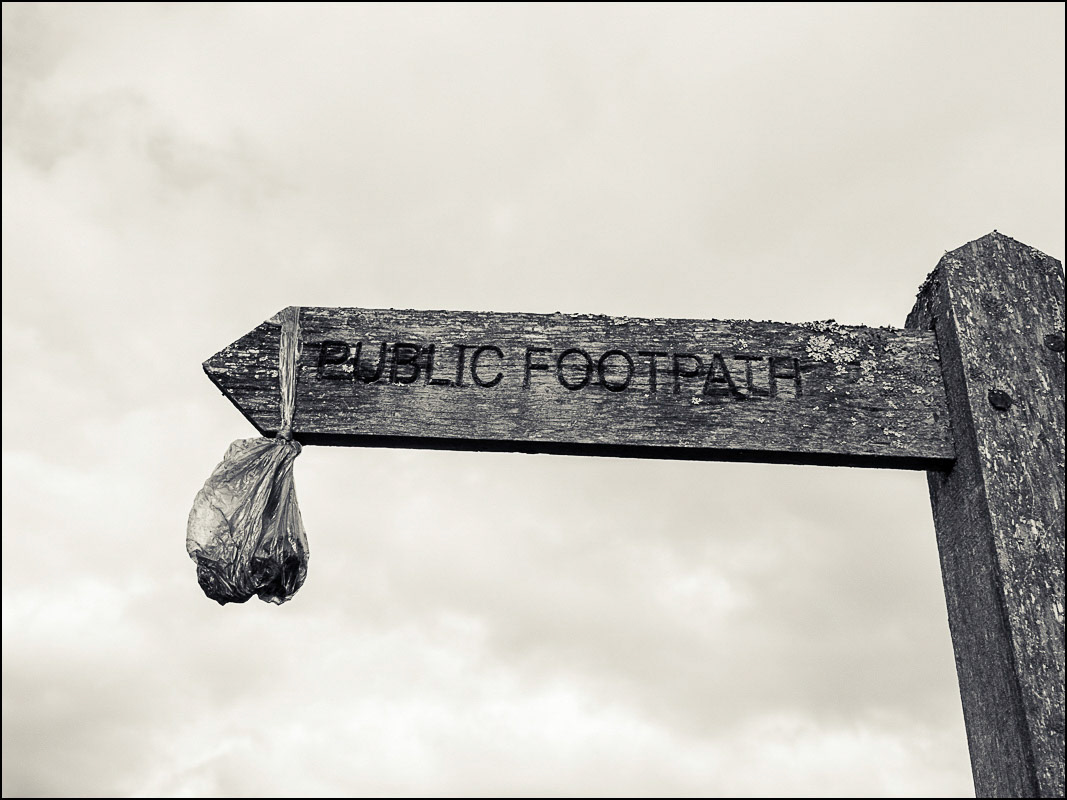 February 18th | Give a Dog a Bad Name