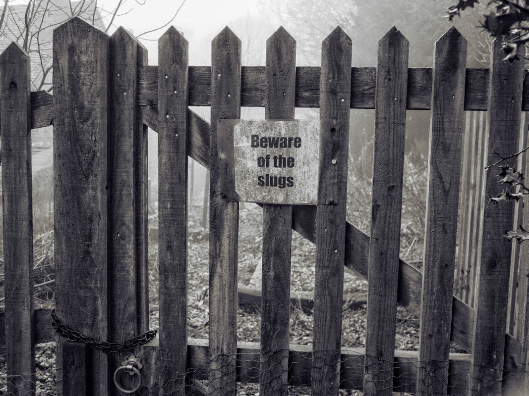 Beware of the Slugs, Leith Hill, 2016. 