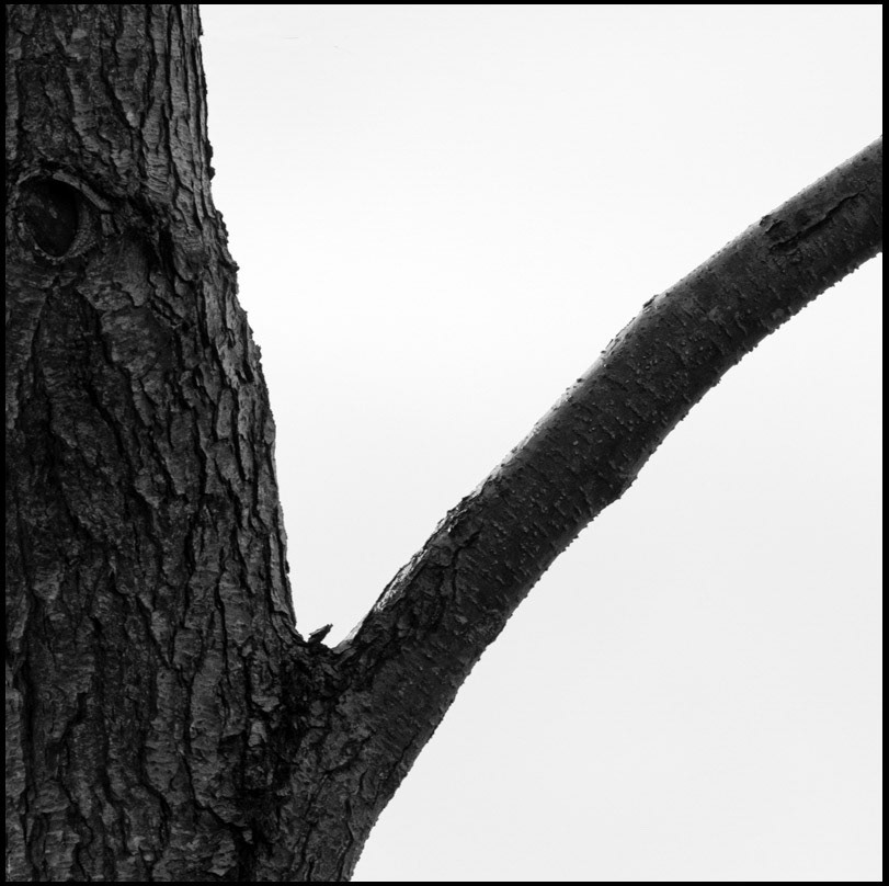 February 16th | Branching