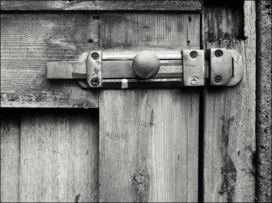 January 22nd | Garden Gate.