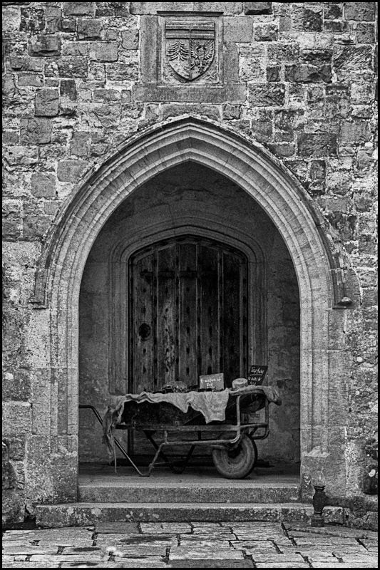 Nyman's Gardens, Sussex.