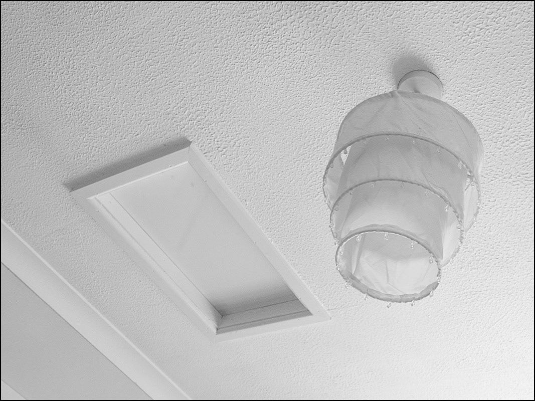 March 18th | The View From My Pillow.