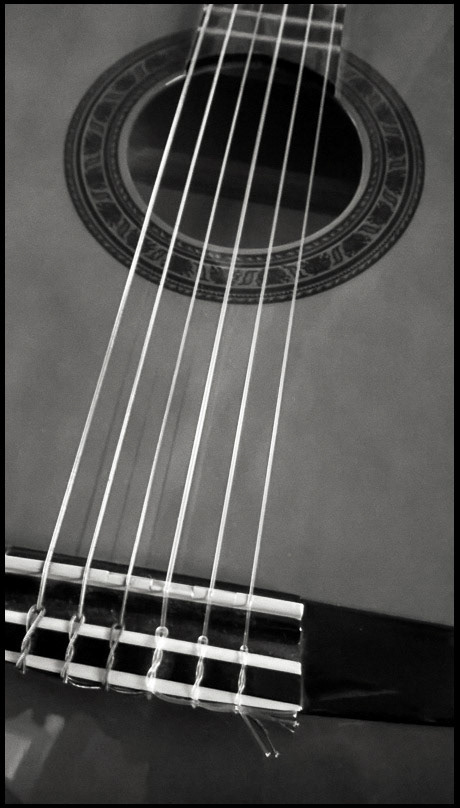 January 16th | Guitar