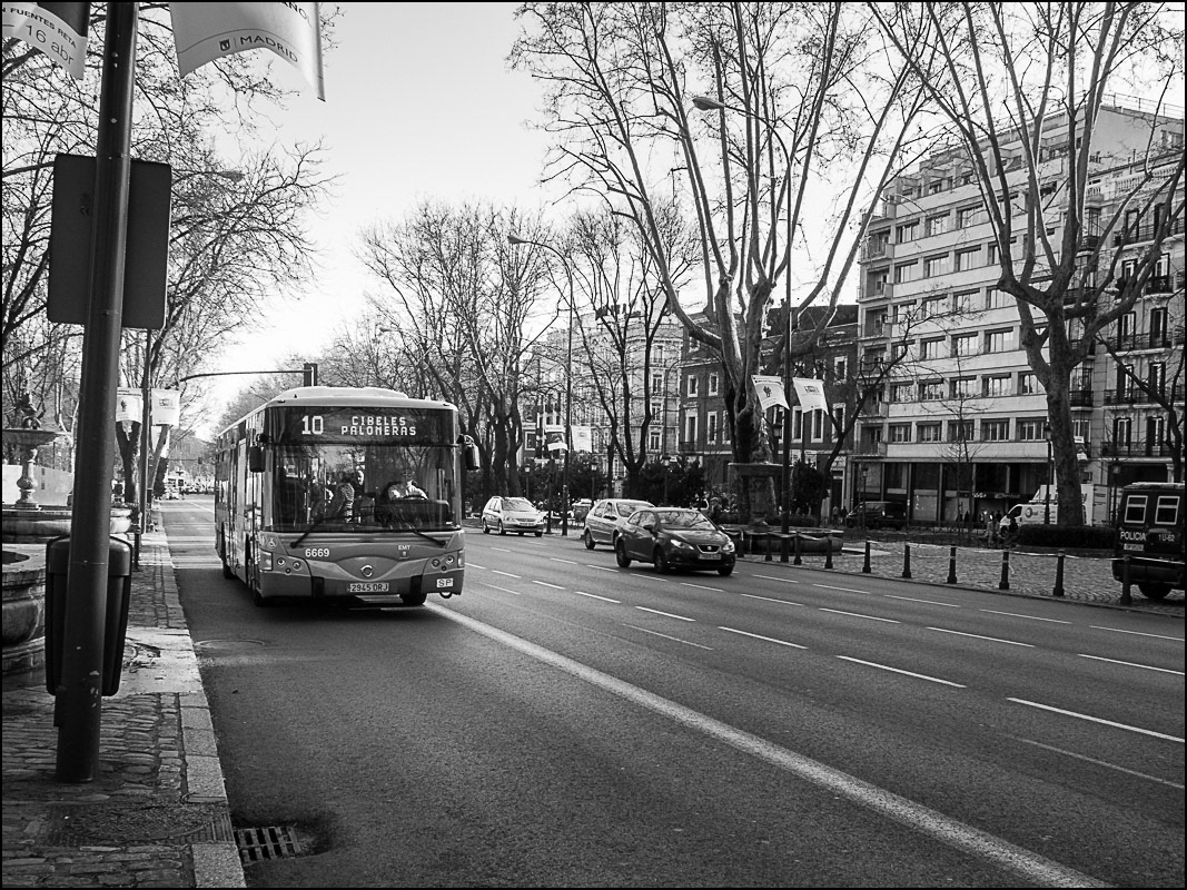 10 - Paseo del Prado, Madrid 2017.