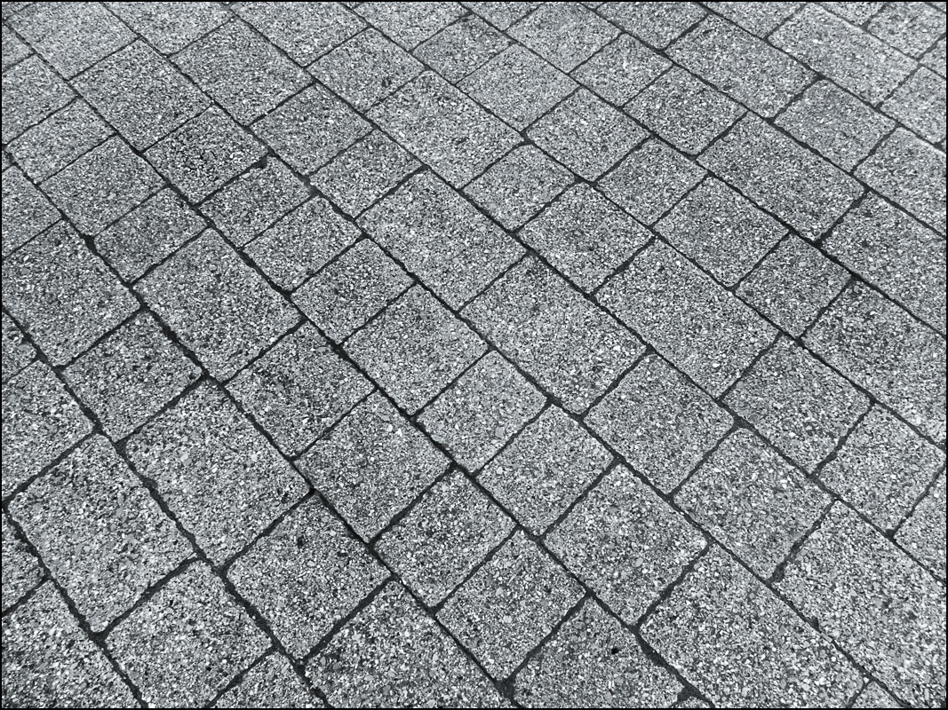 March 28th | A Rainy Day in Waitrose'e Car-Park.