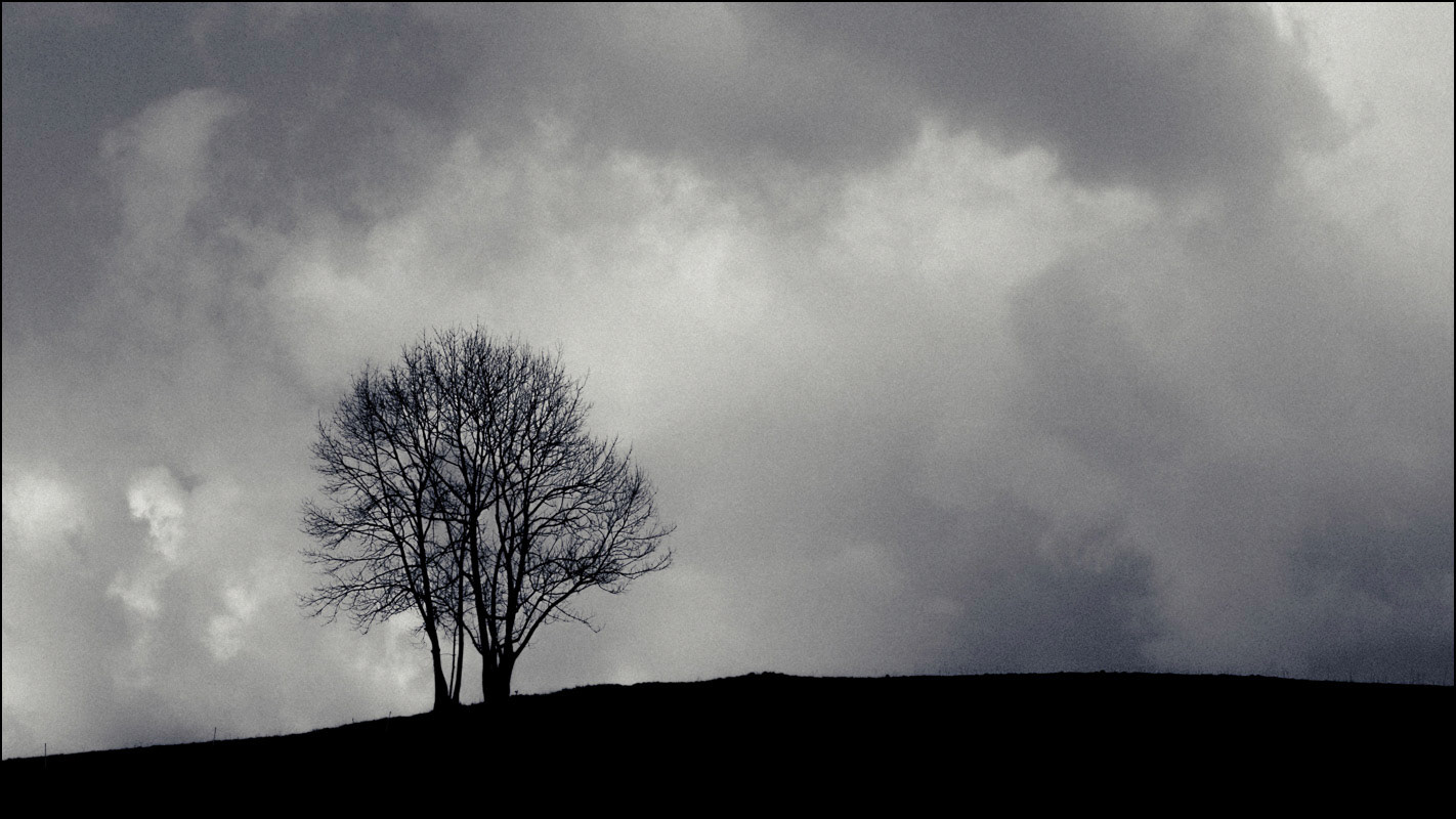 February 12th | Lone Tree, Labastide.