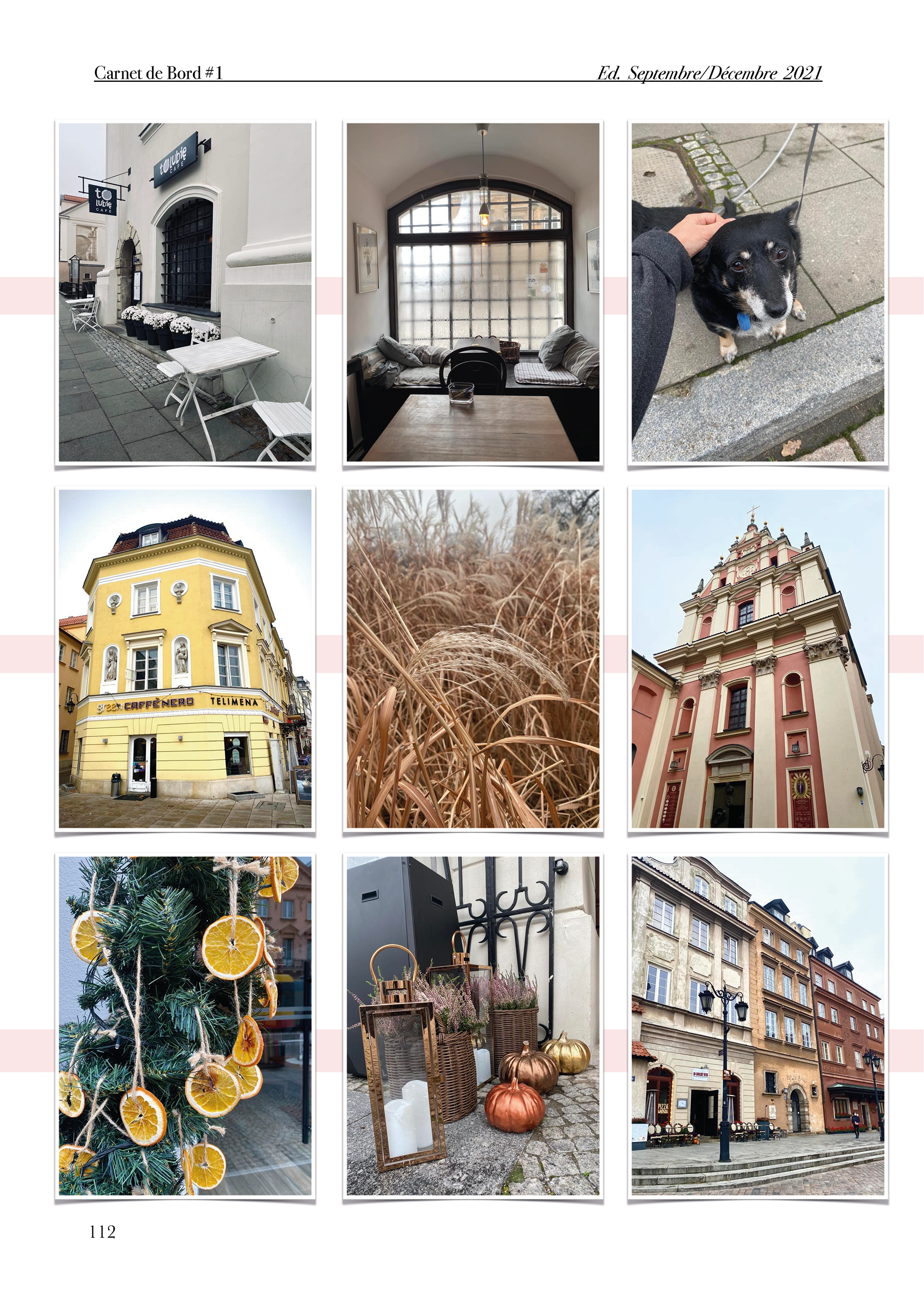 Photodump Pologne