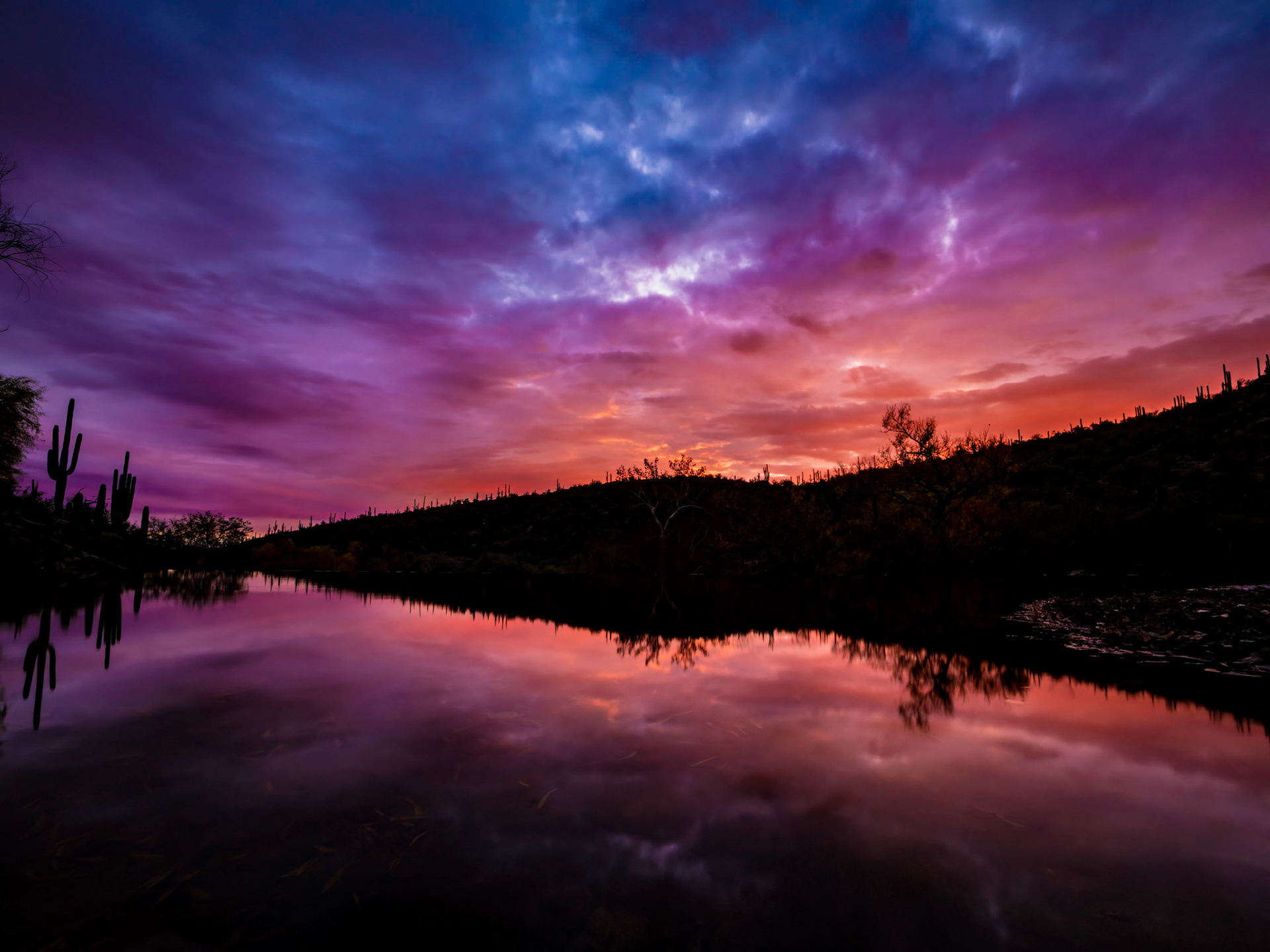 Reflections of Sabino