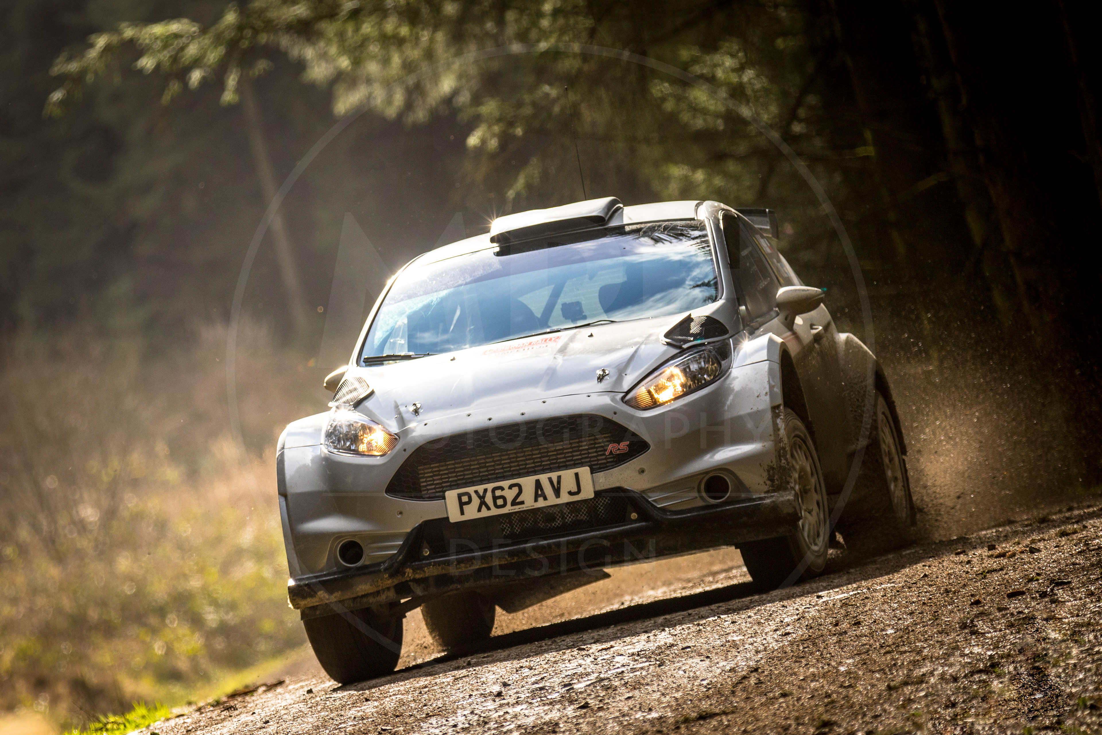 2019 Cambrian Rally, Alwen