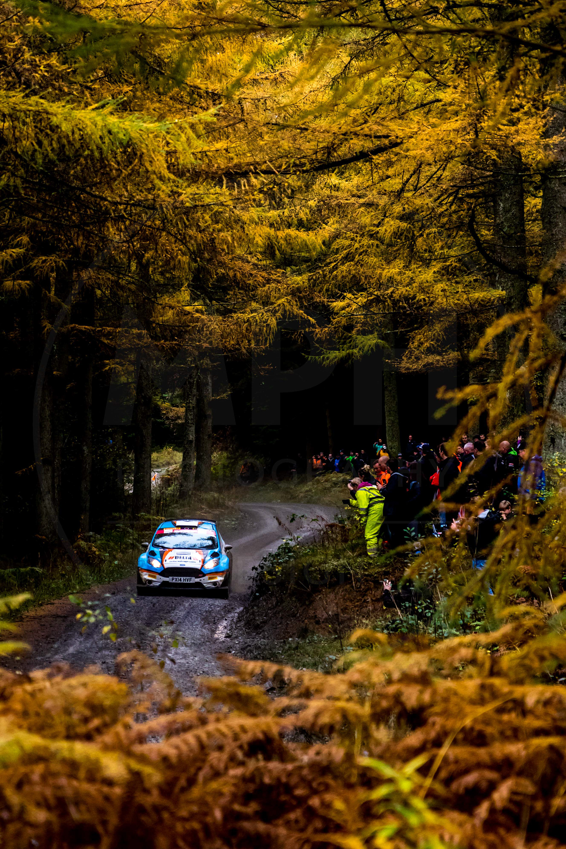 2022 Cambrian Rally, Clocaenog