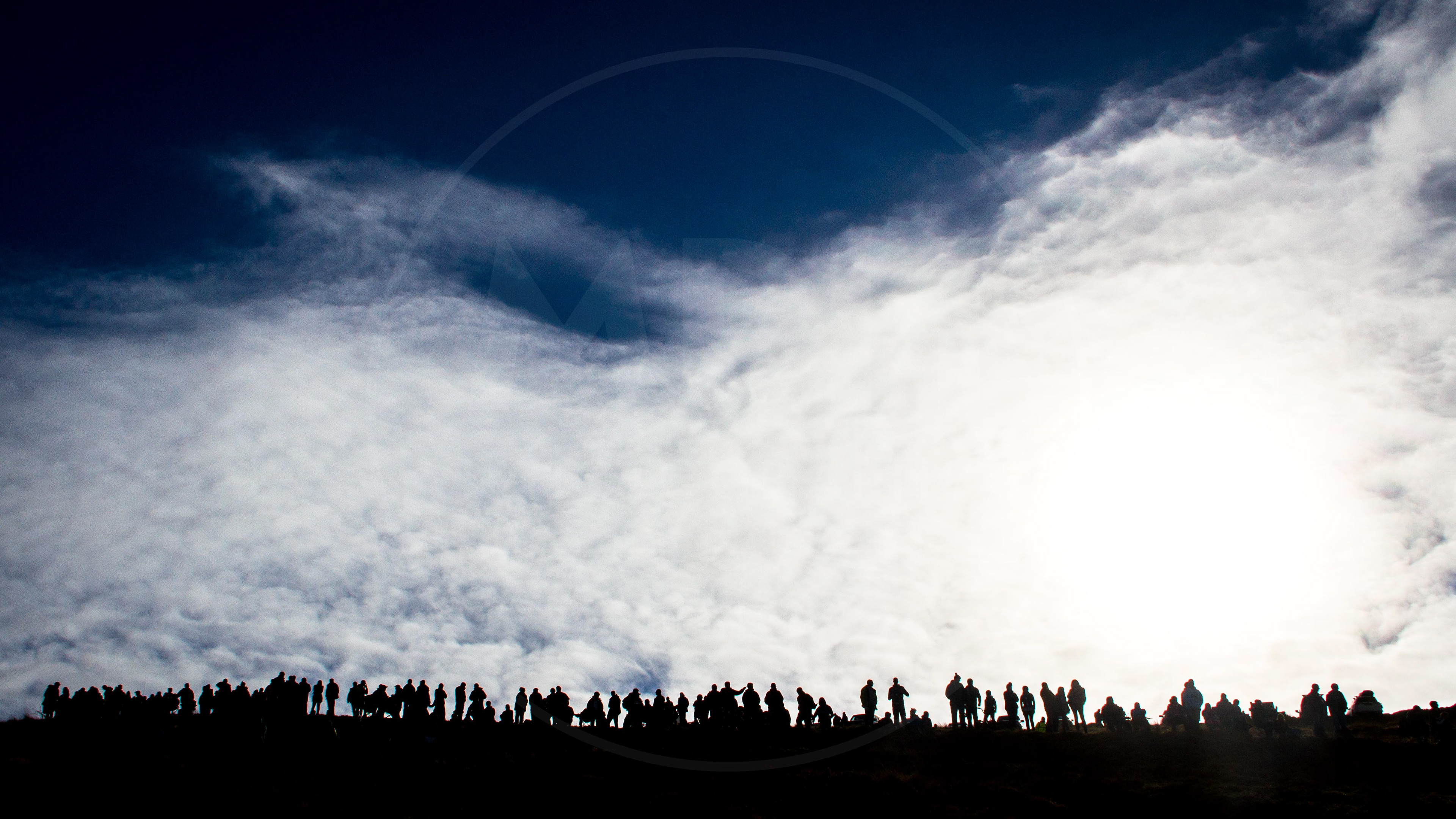 2017 Wales Rally GB, Sweet Lamb