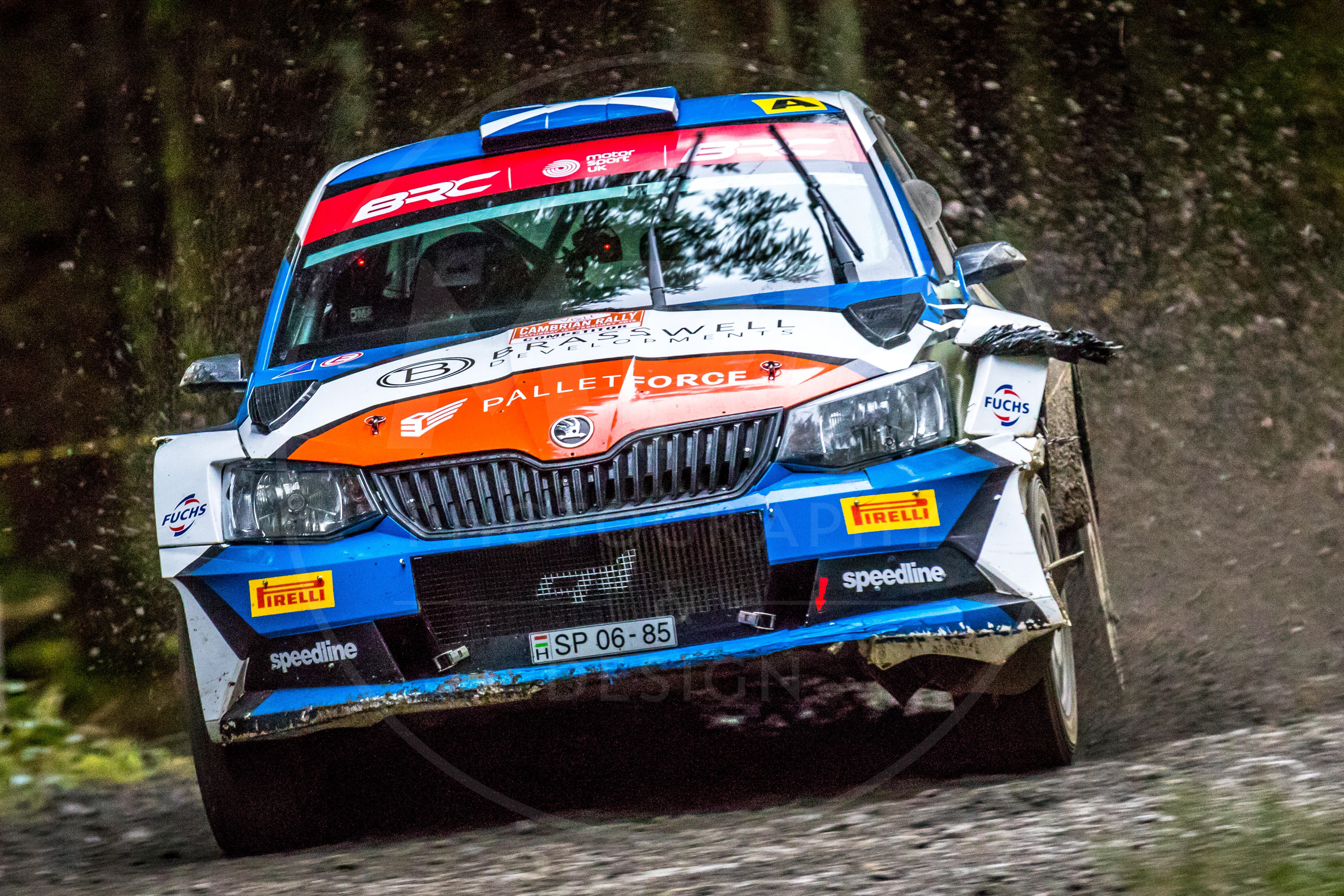 2019 Cambrian Rally, Alwen