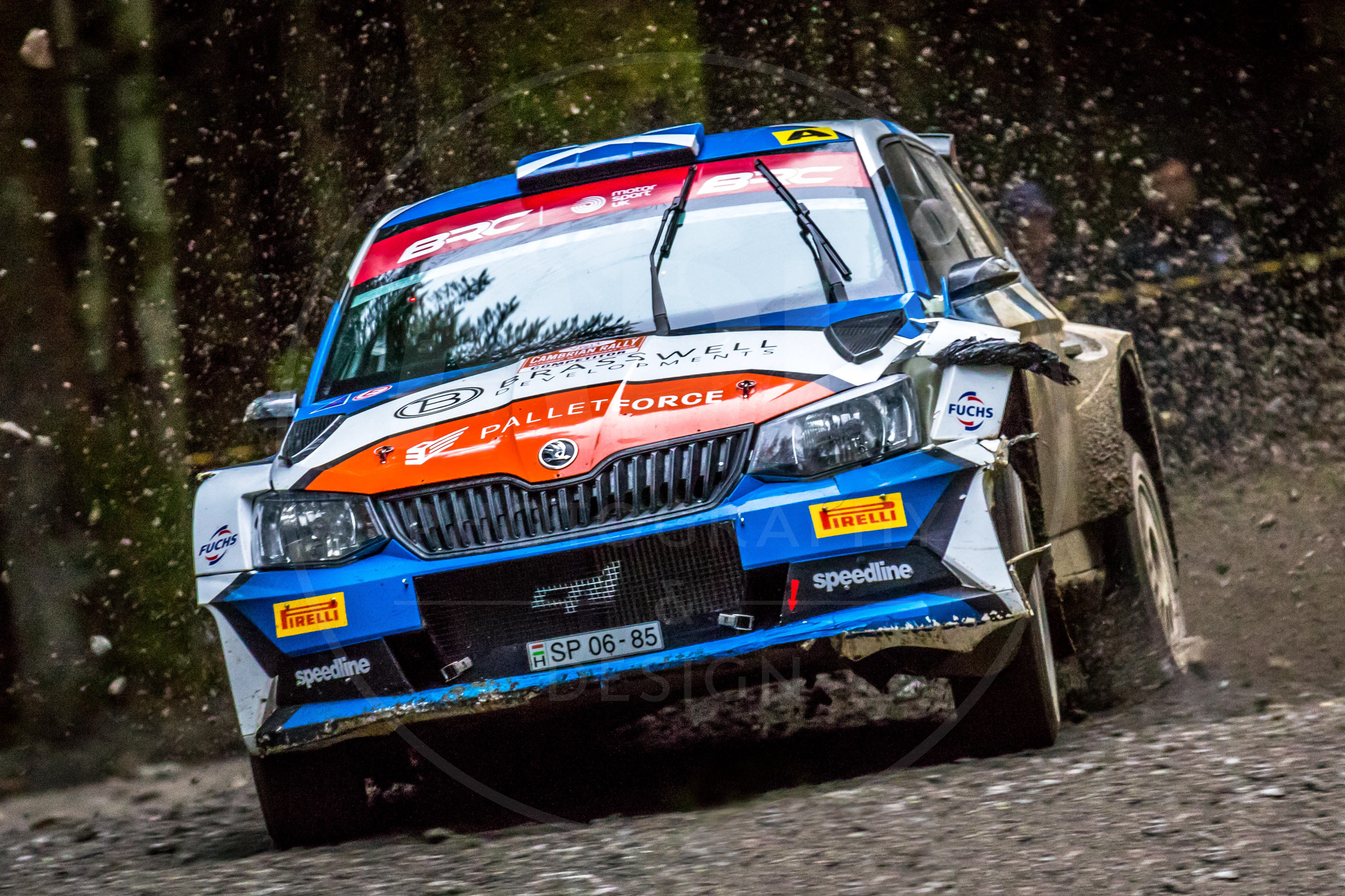 2019 Cambrian Rally, Alwen