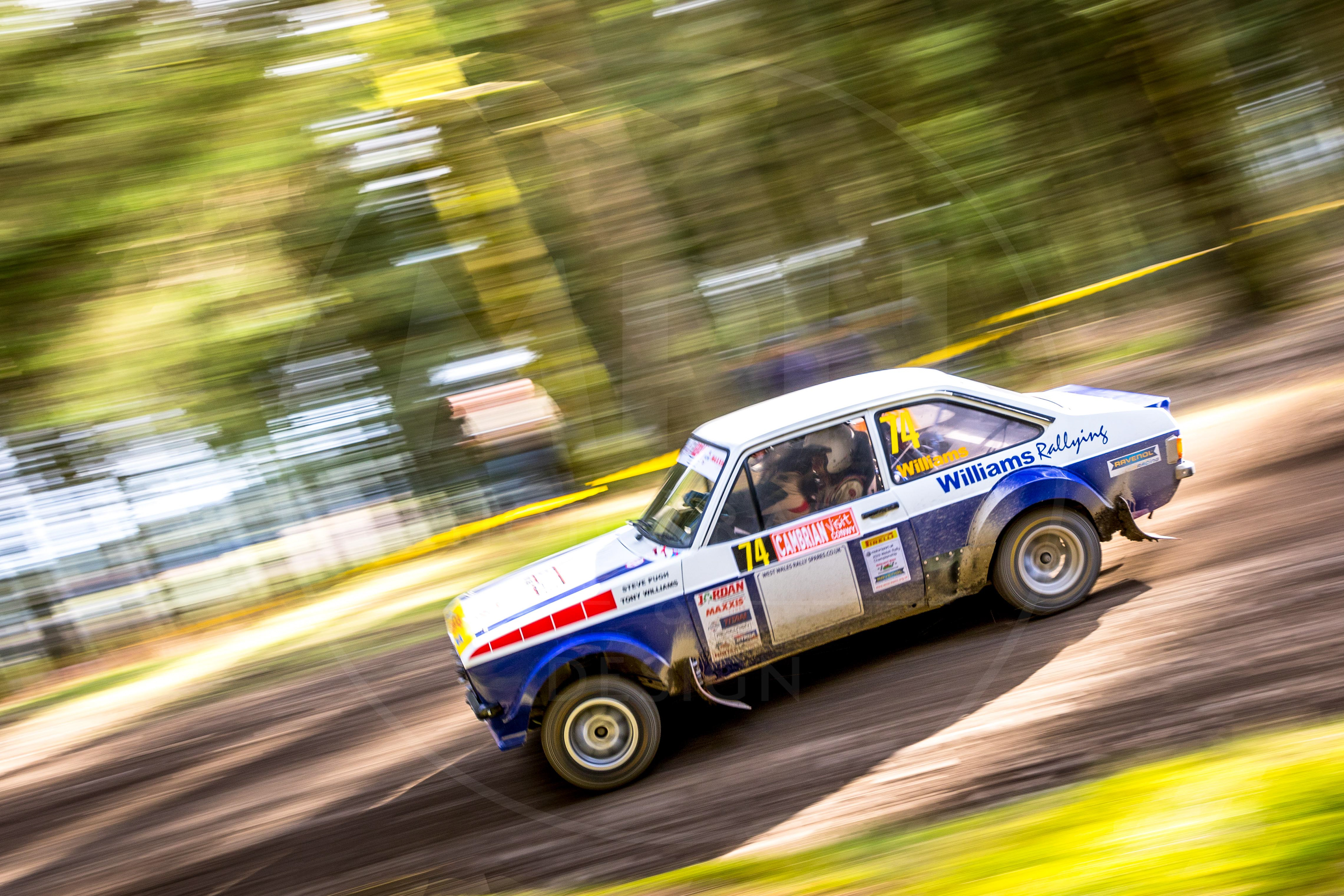 2019 Cambrian Rally, Alwen