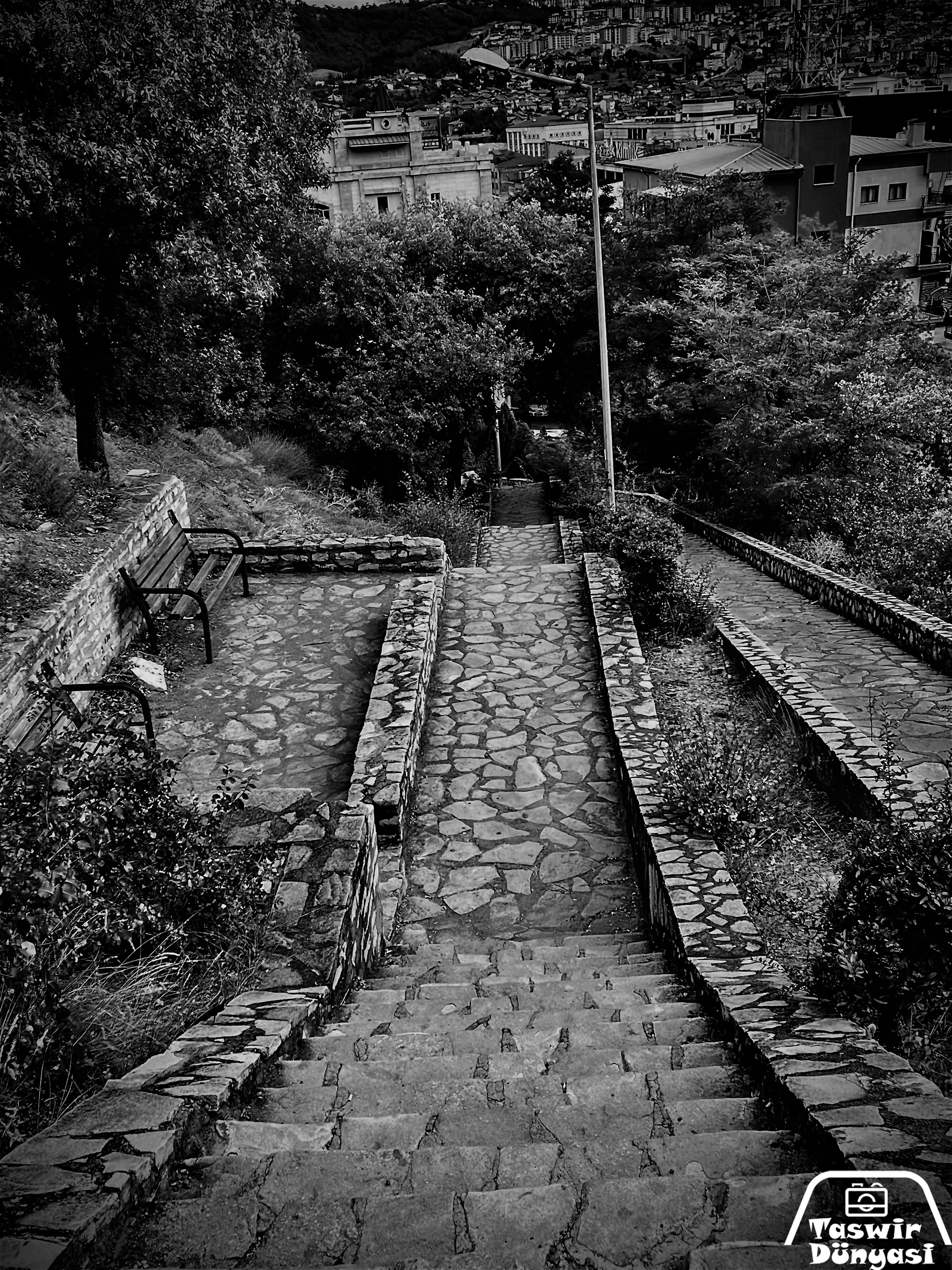 Photo de rue