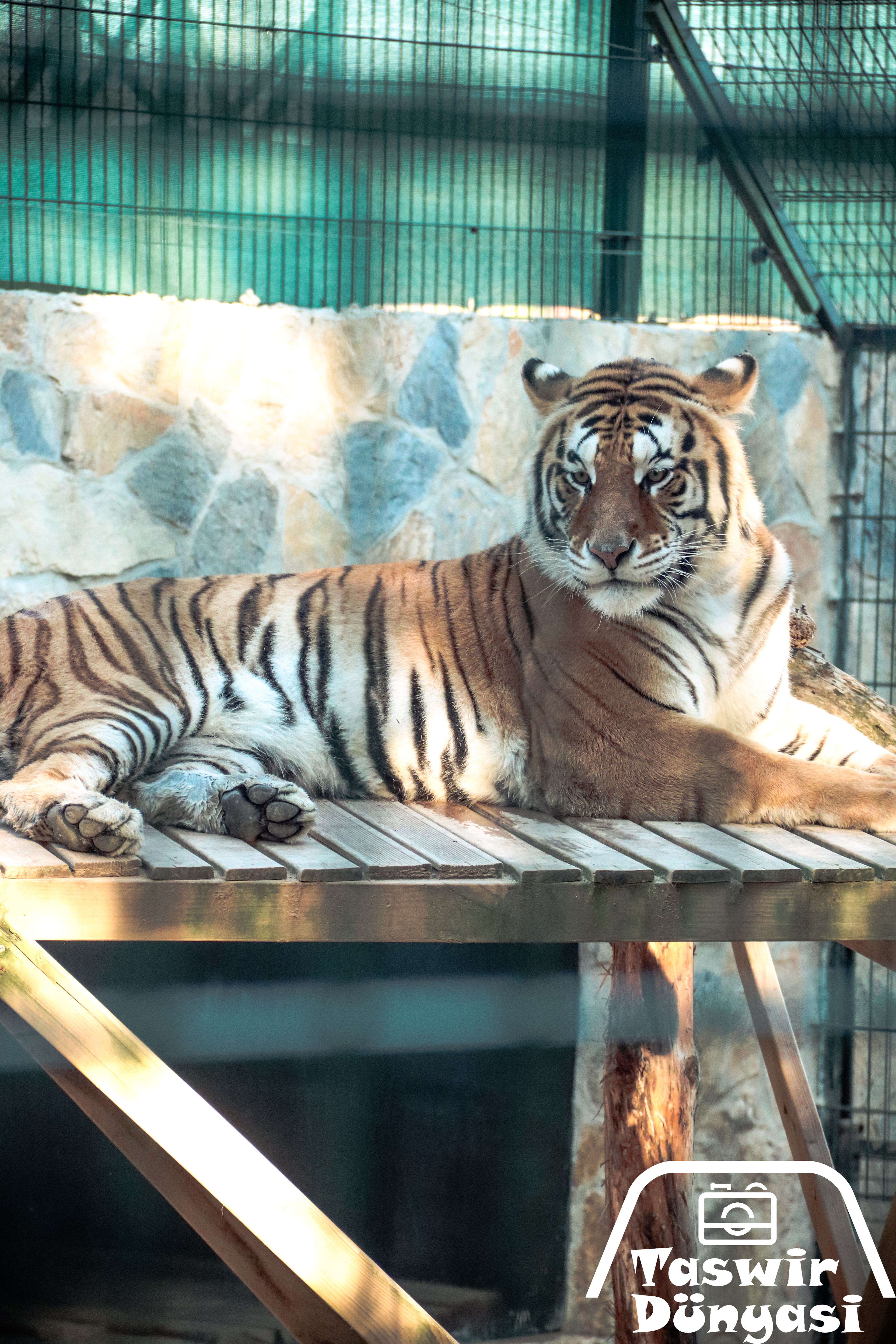 zoo