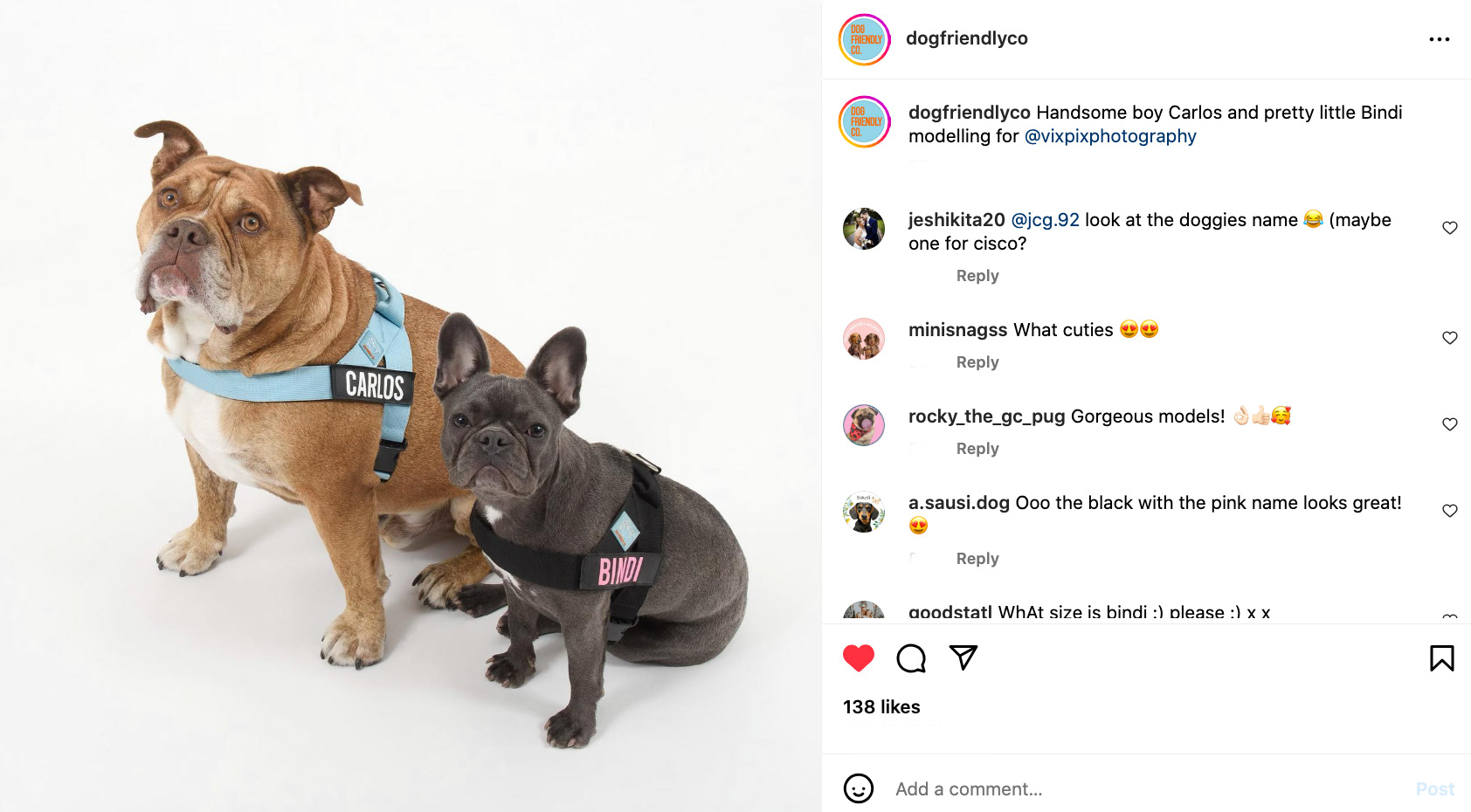 Dog Friendlyco Model King Carlos & Bindi