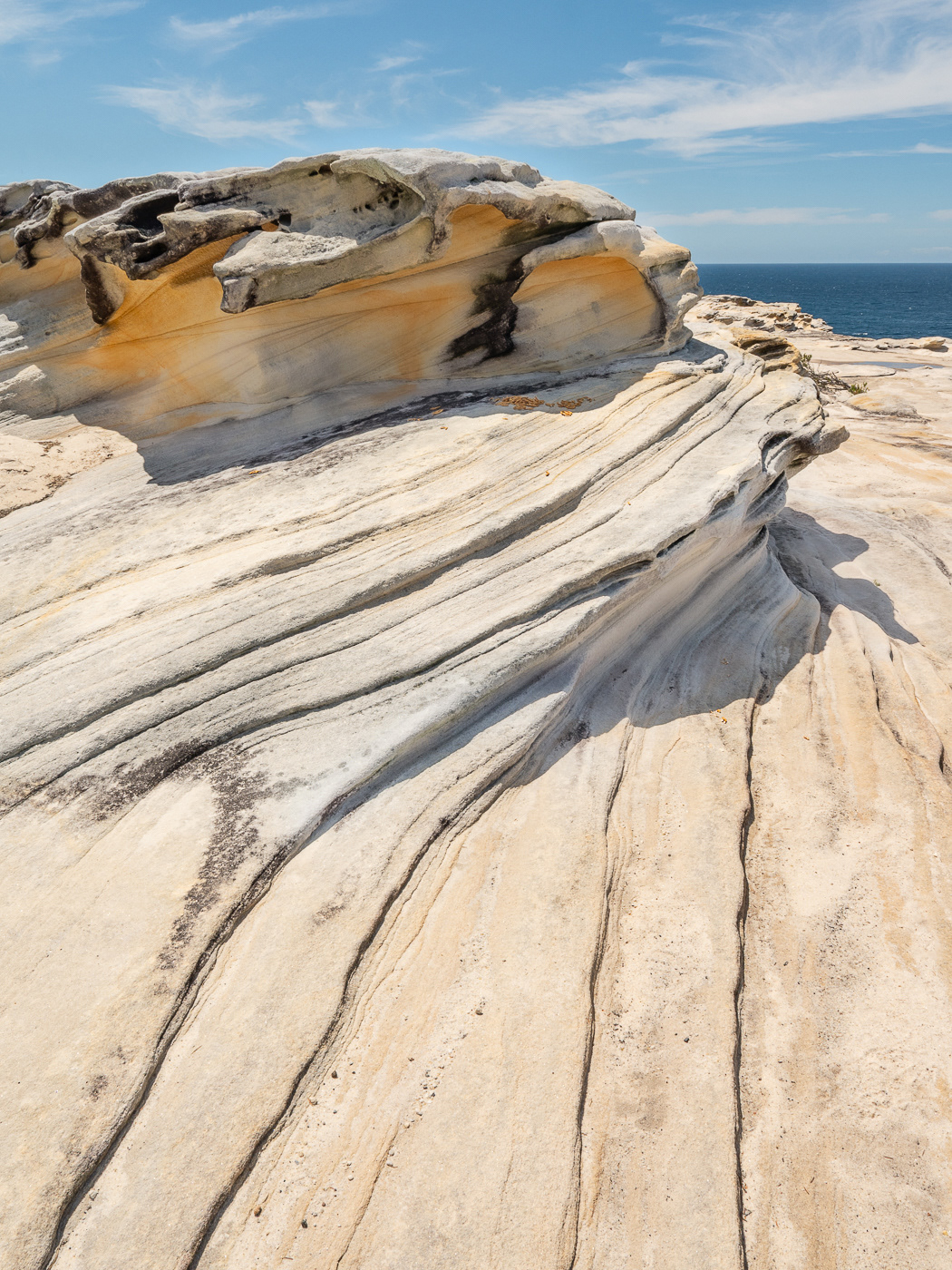 colour, contrast, form