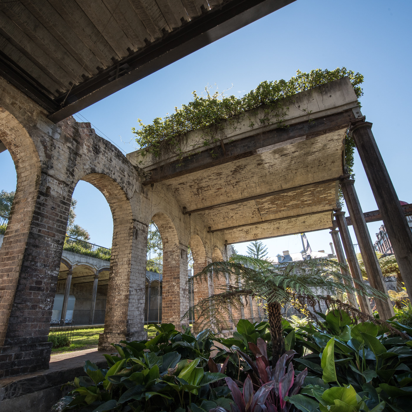 Sydney Architecture Paddington Reserve detail