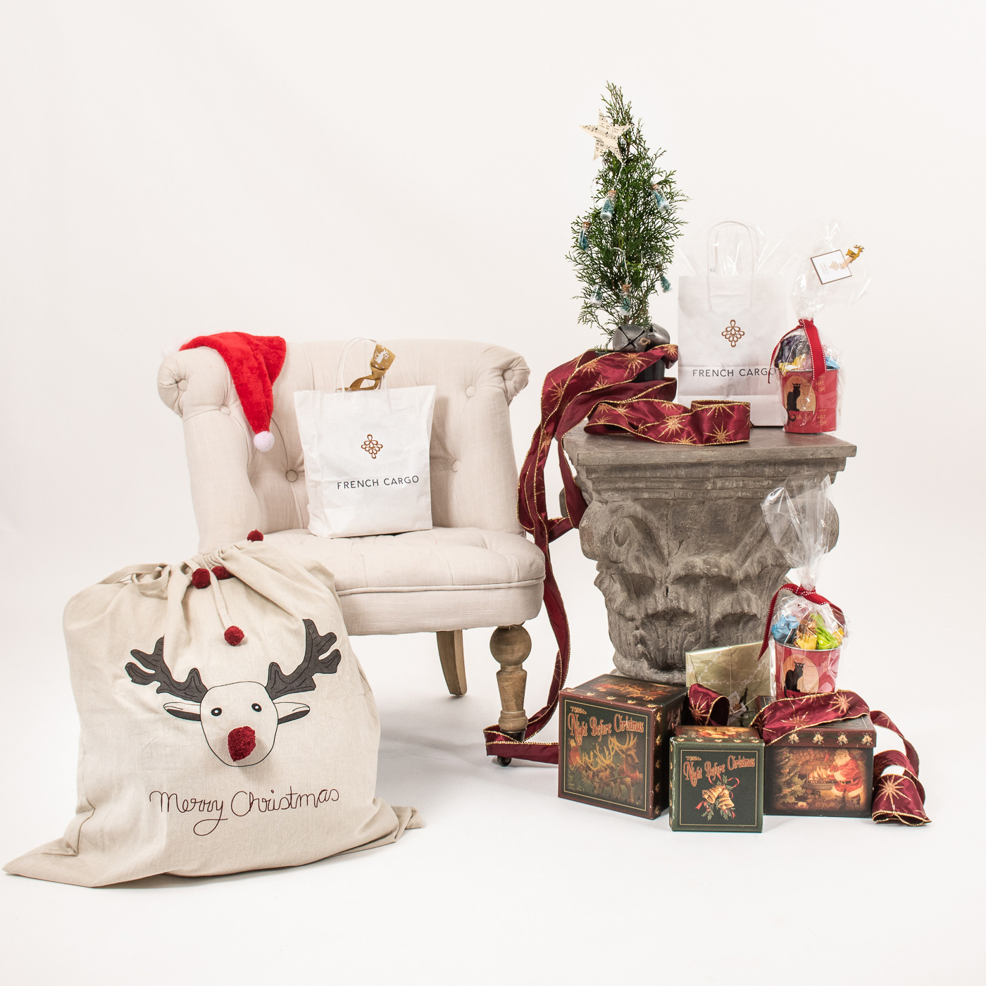 Christmas Private Family portraits