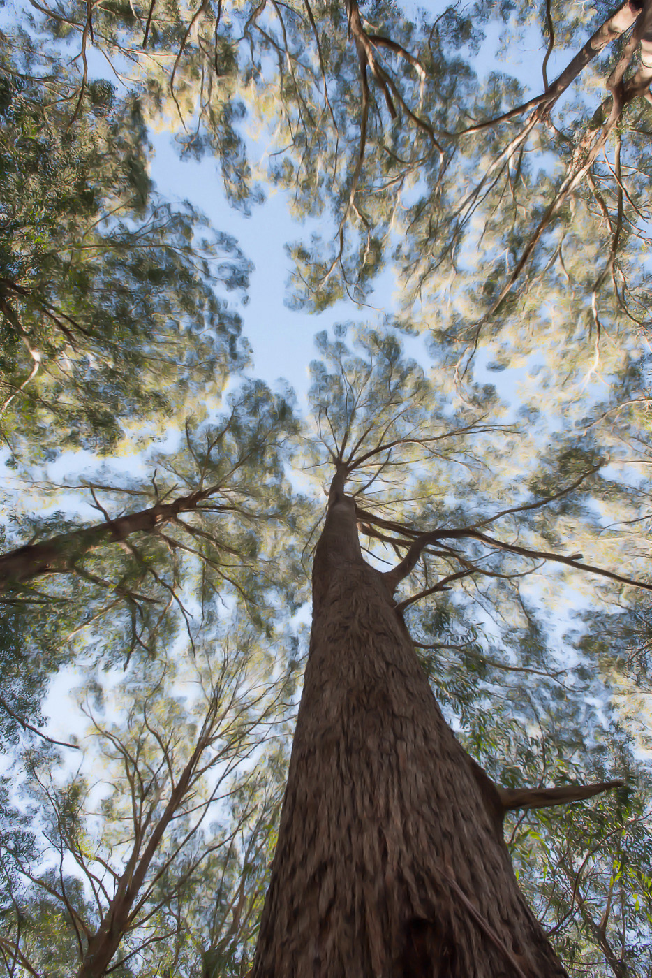 Southern Highlands escape