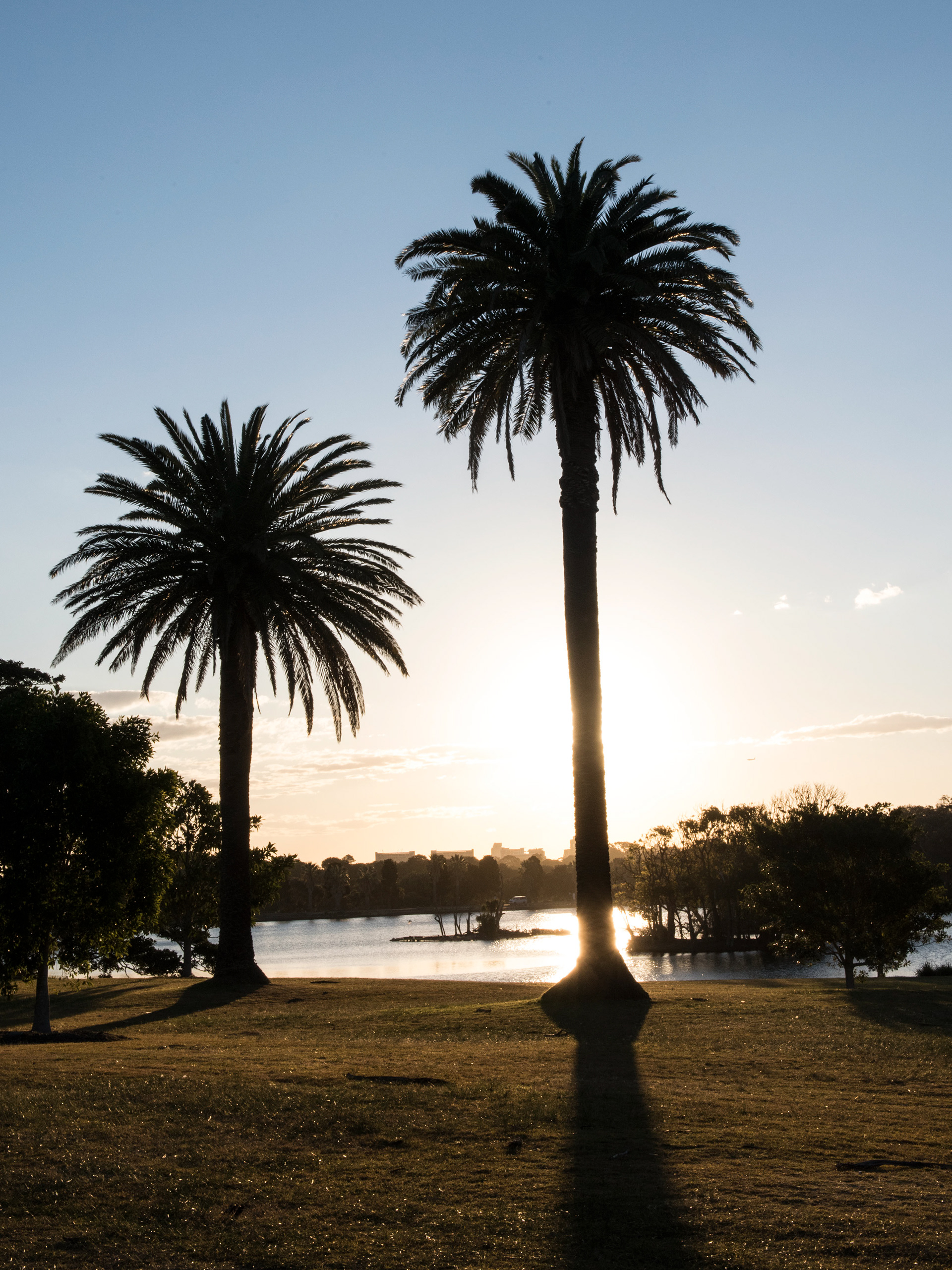 contrast, silhouette, line, shape form