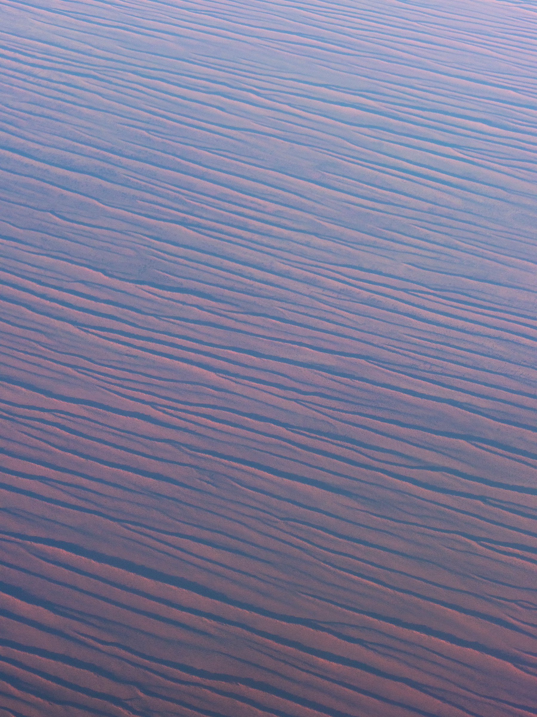 line, patterns in nature, colour