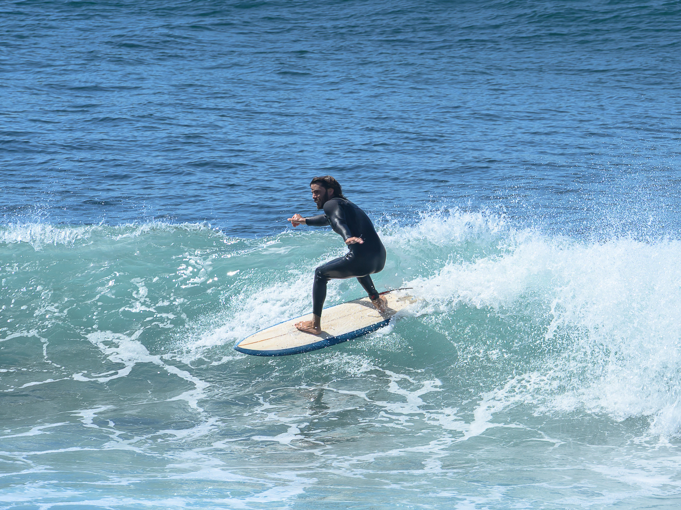 movement, form, colour, contrast