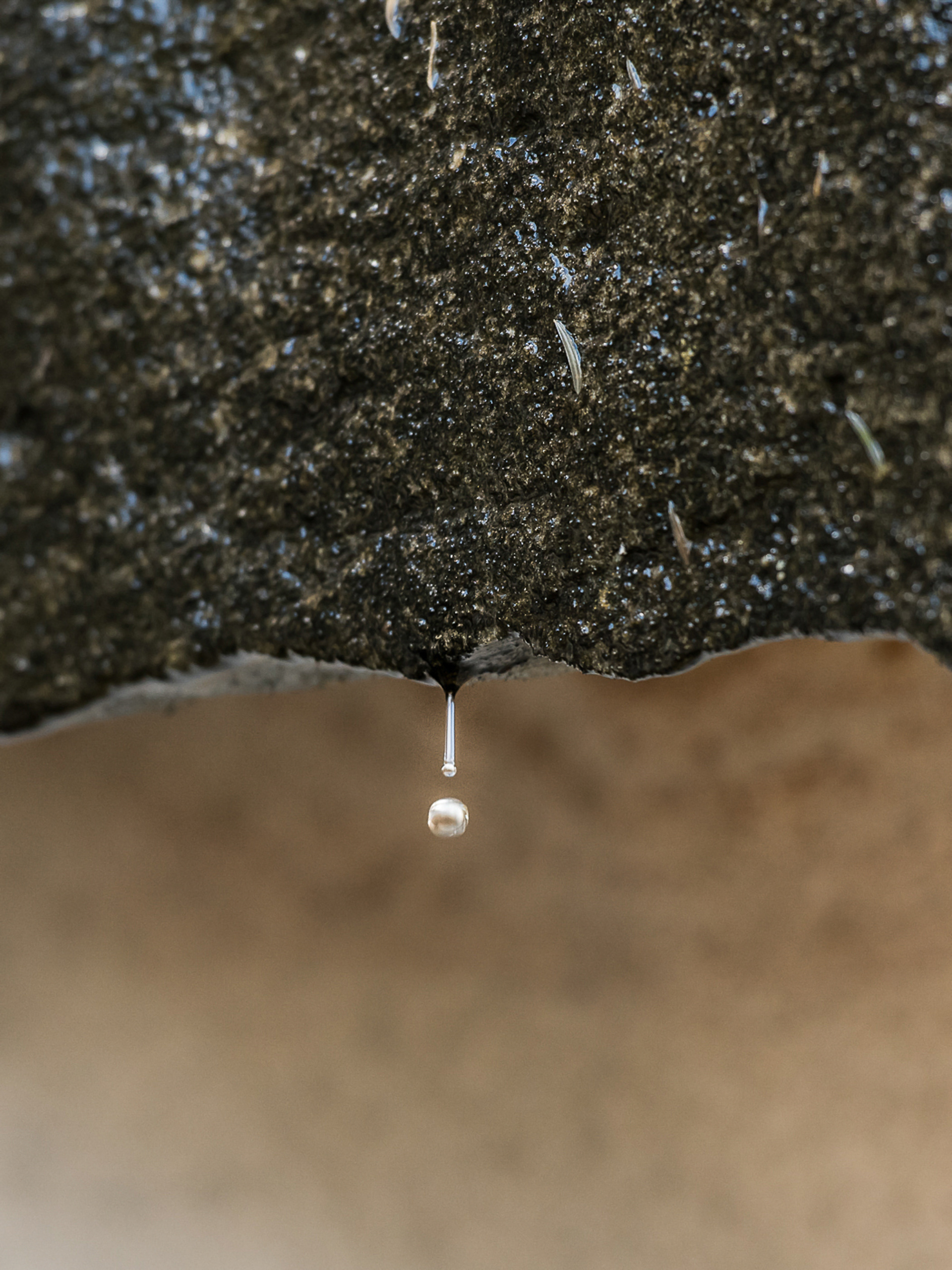 Beach side Darook Cronulla